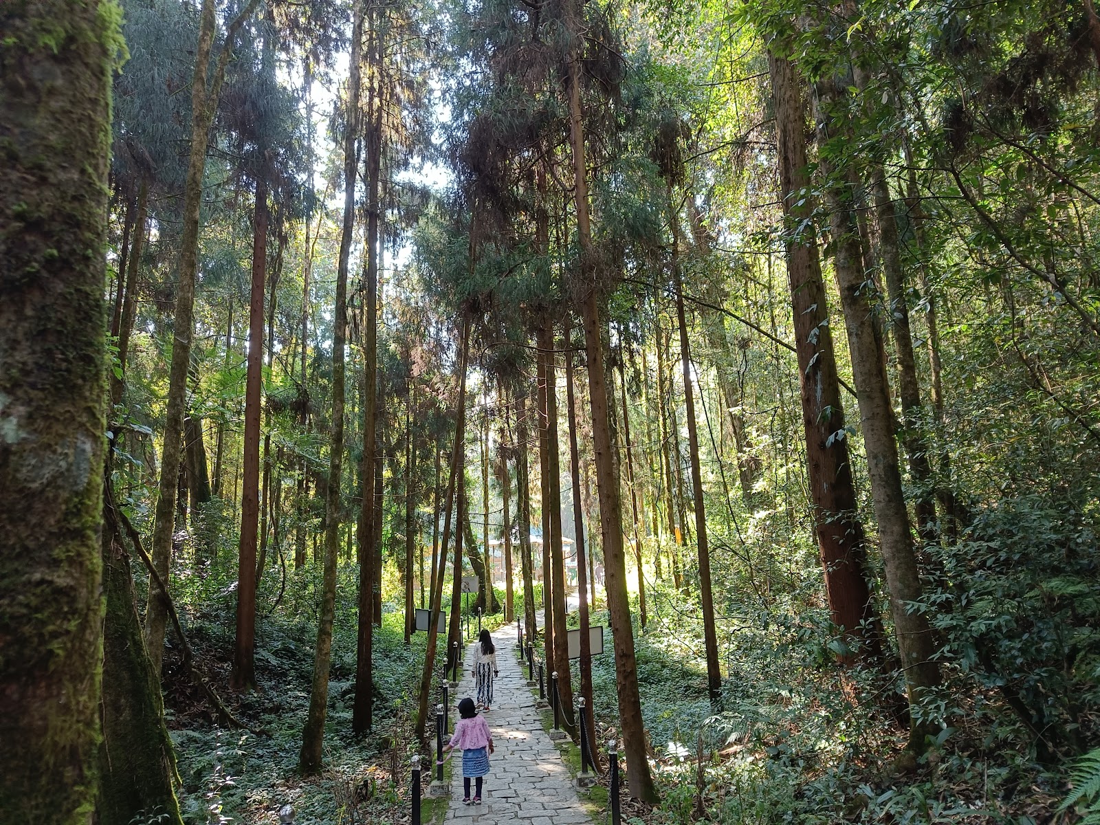 Sidekeong Tulku Bird Park