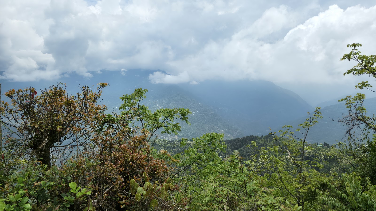 Sidekeong Tulku Bird Park