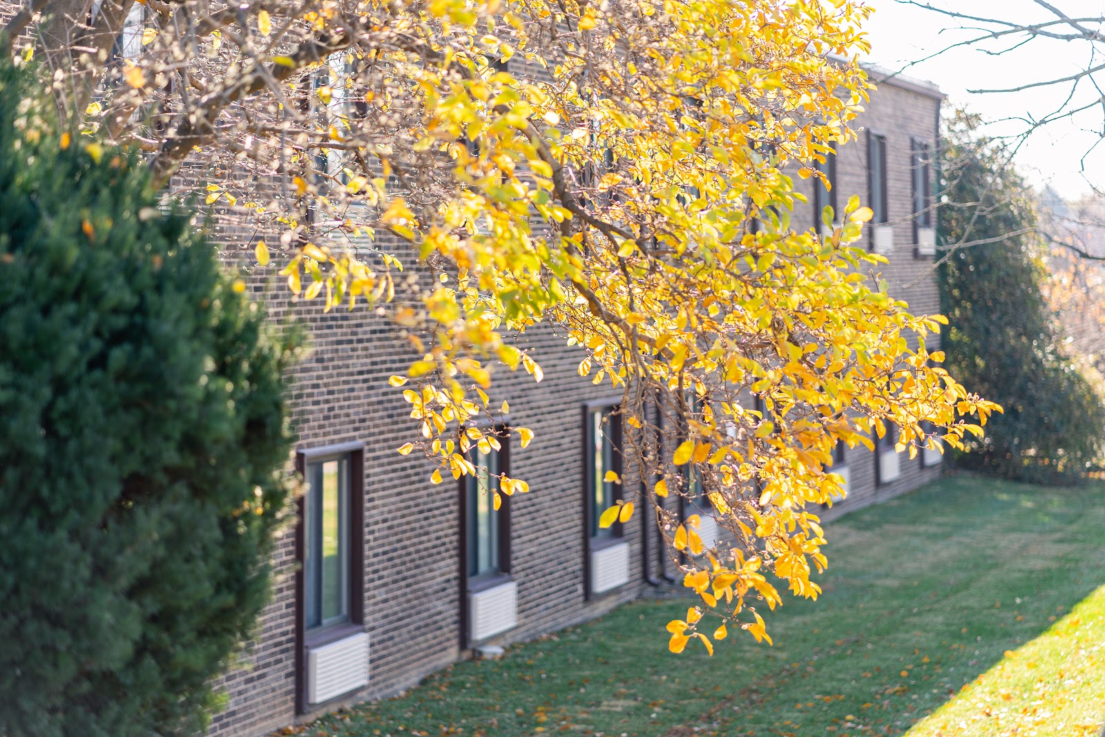Autumn Lake Healthcare at Perring Parkway