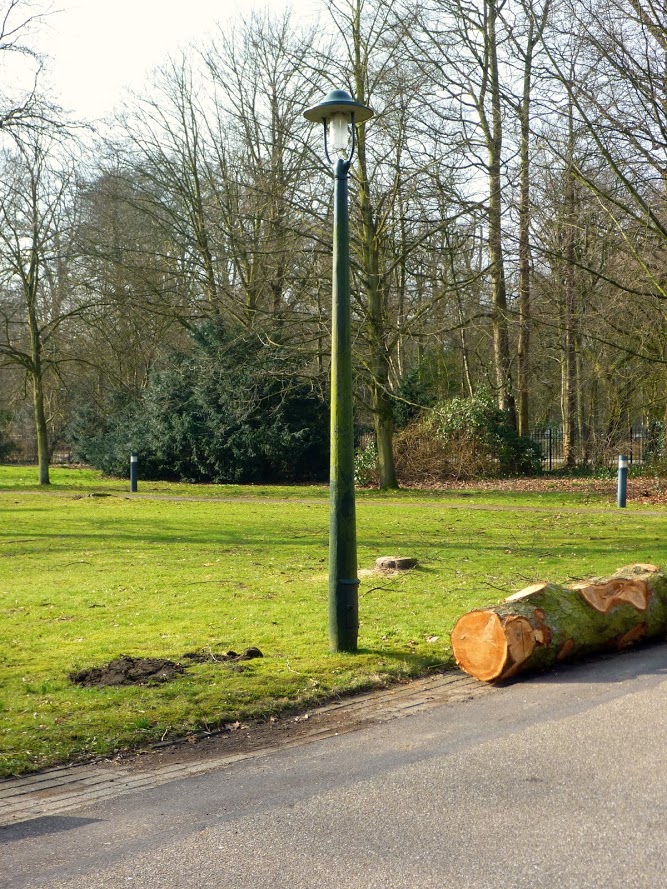 Stichting Pro Senectute - locatie Spaar en Hout