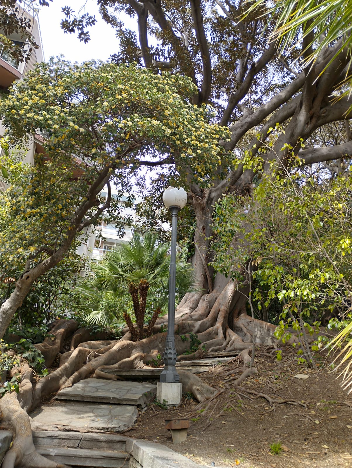 Villa Ormond