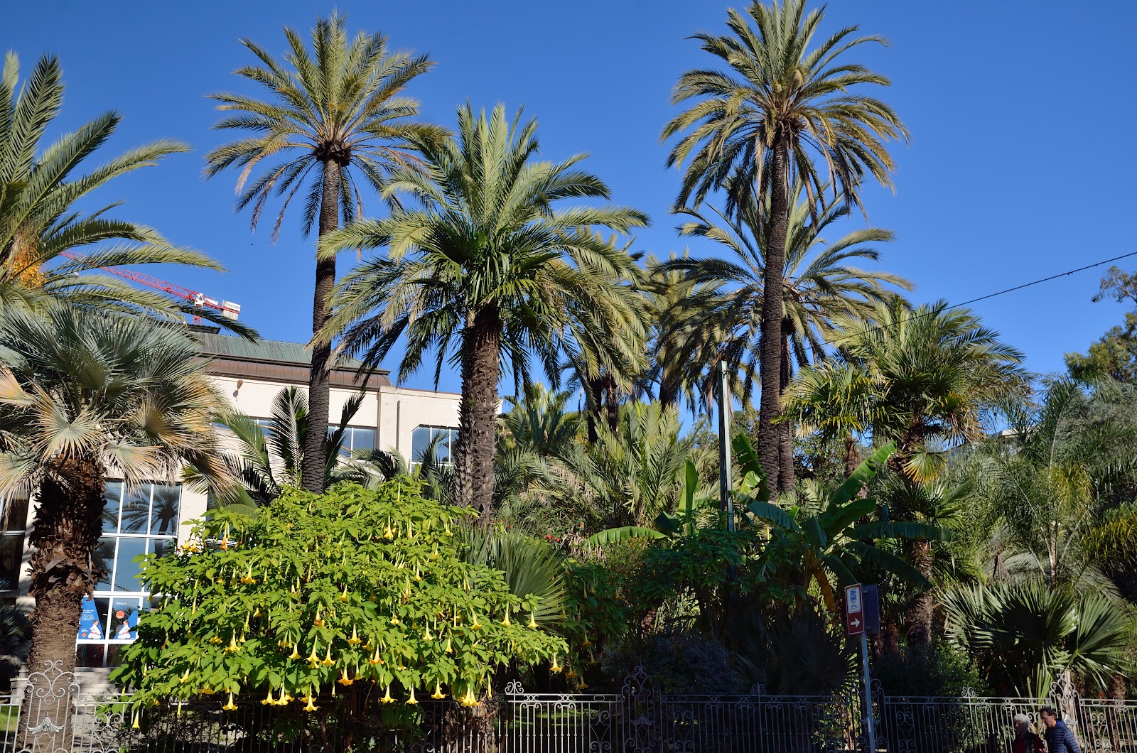 Villa Ormond