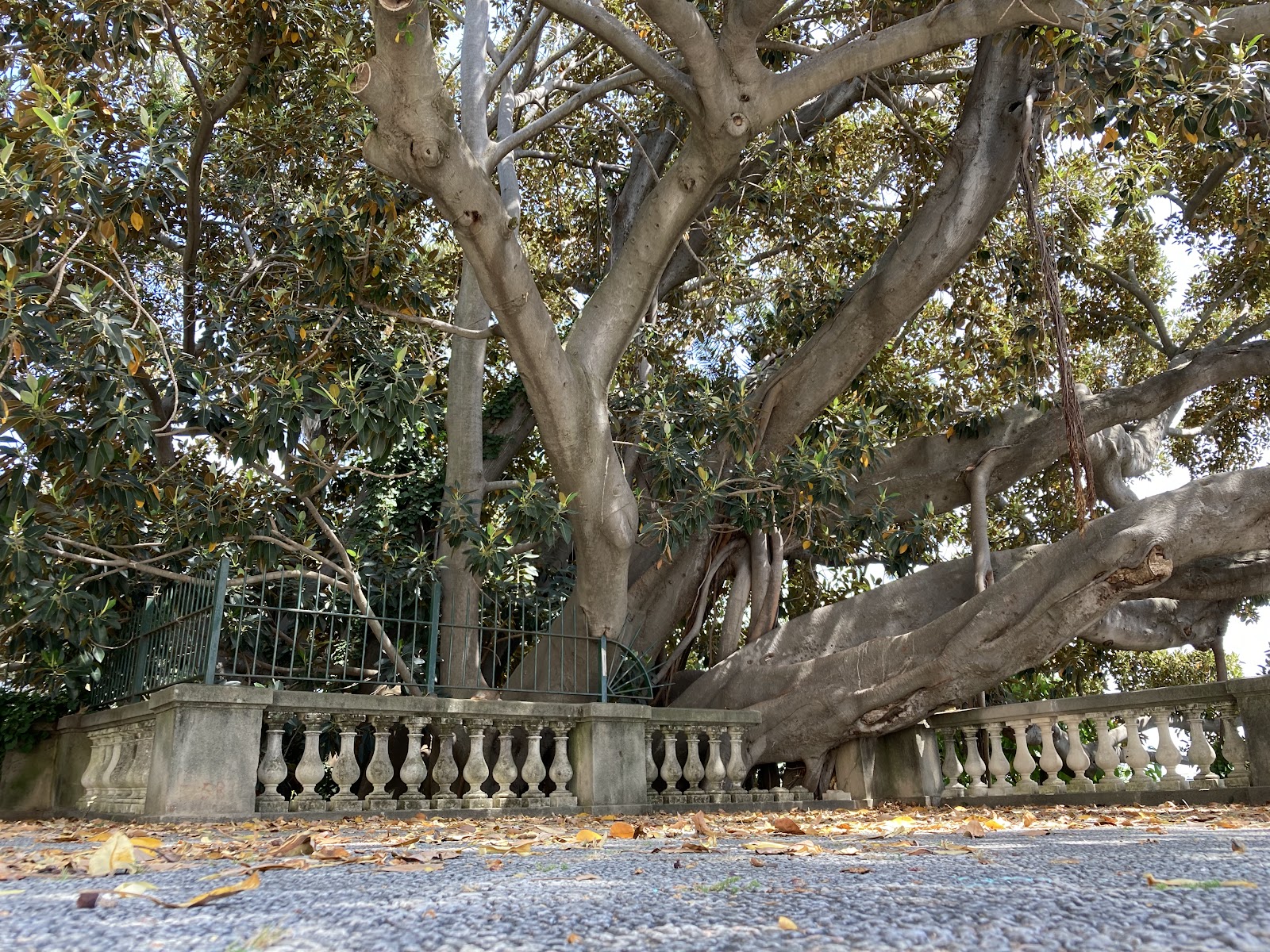 Villa Ormond