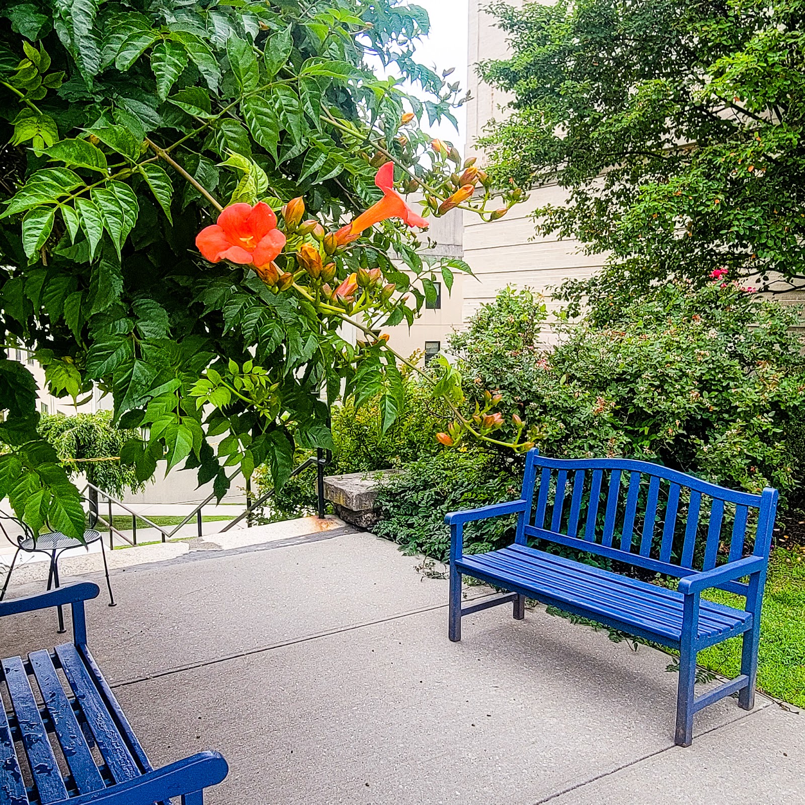 Drum Hill Senior Living Community