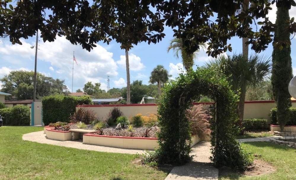 Park of the Palms