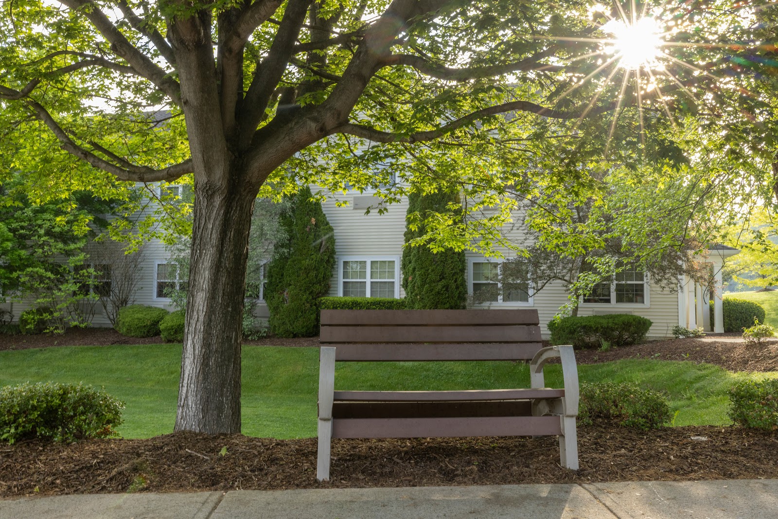 Mira Vie at Brookfield | Assisted Living Belvidere