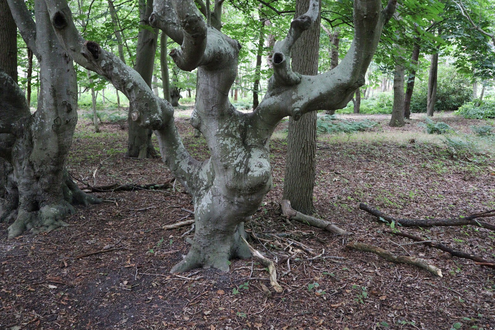 Buitenplaats Berkenbosch