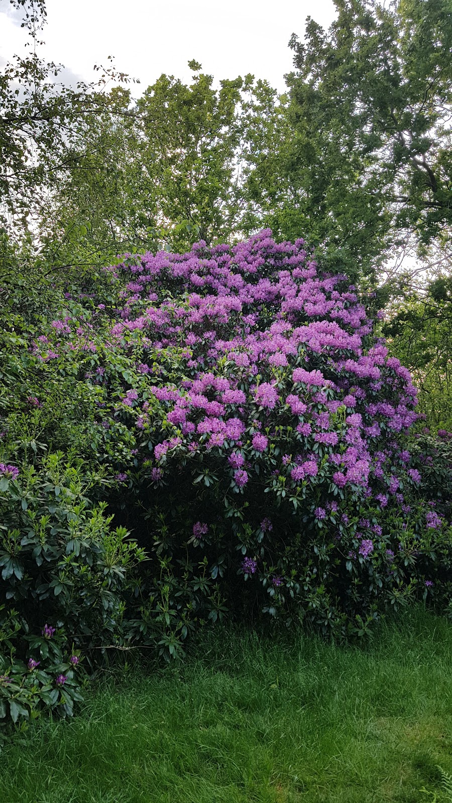Buitenplaats Berkenbosch