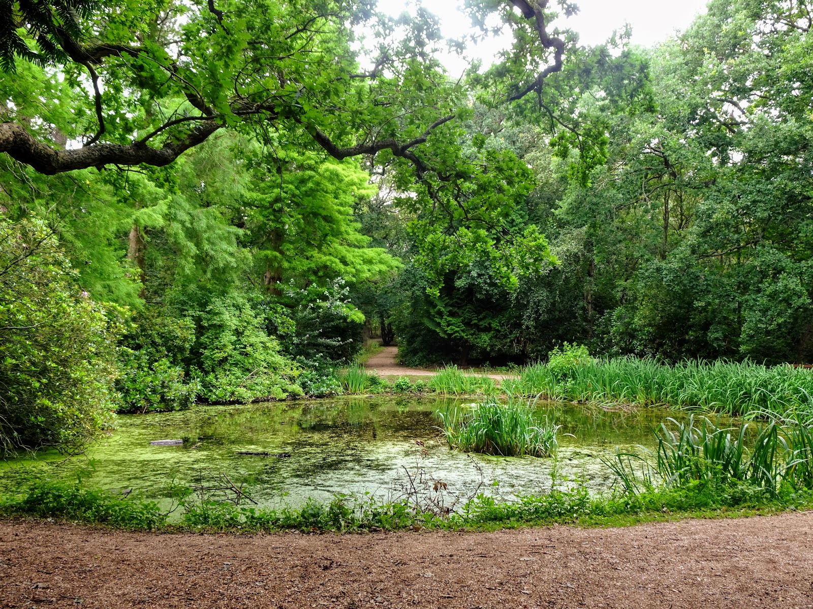 Buitenplaats Berkenbosch