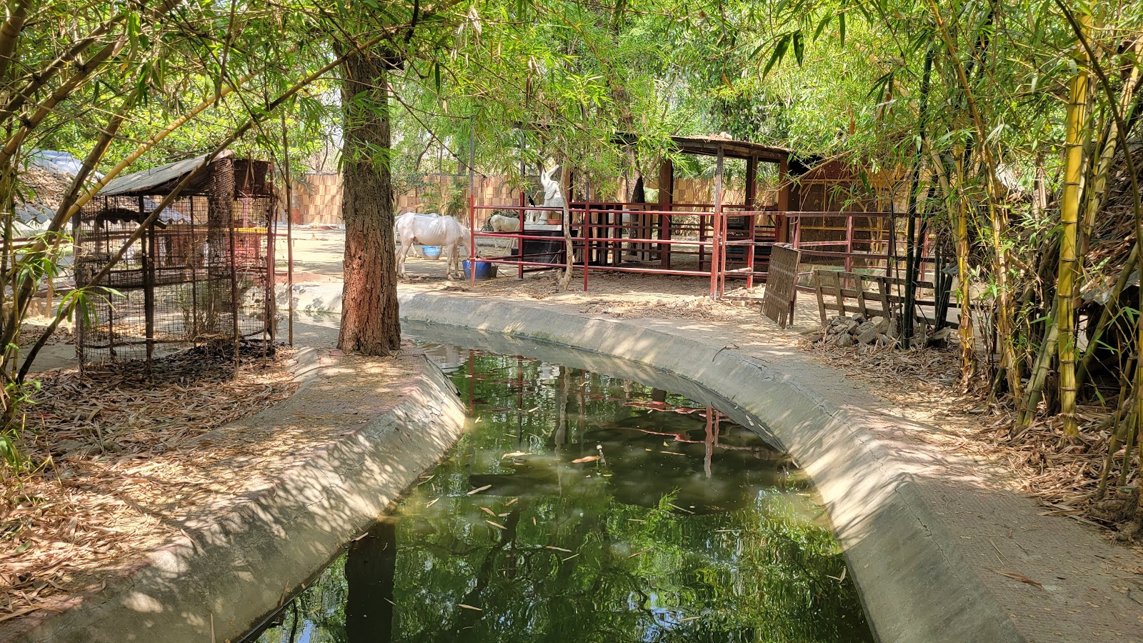 Aastha Health Resort - Old Age Home