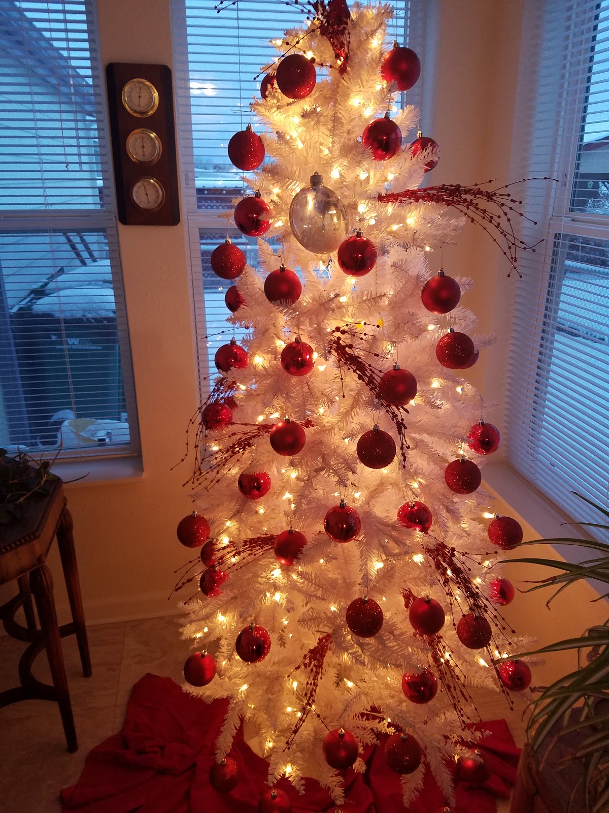 Springlake Community Inc