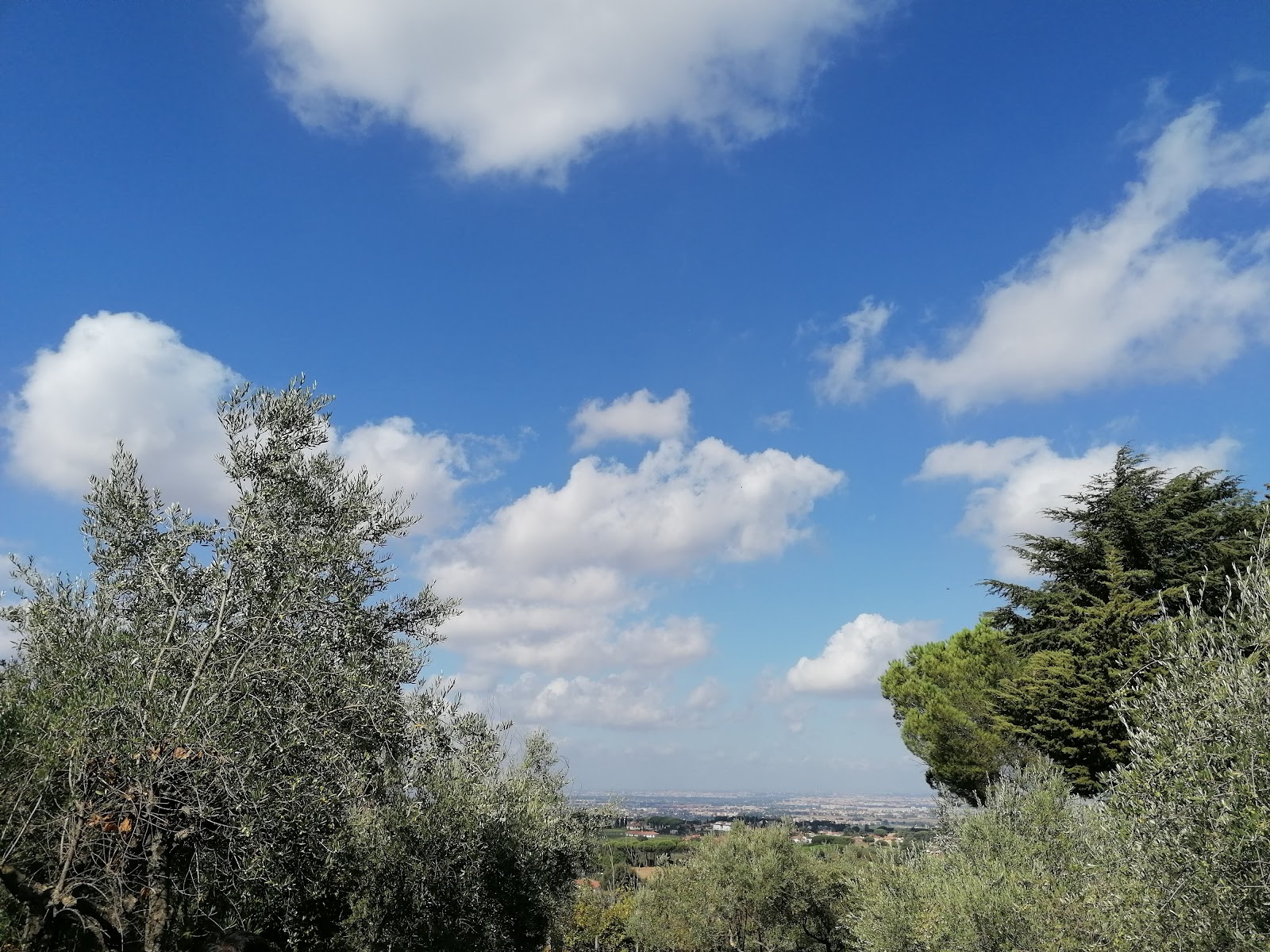 Centro Giovanni XXIII