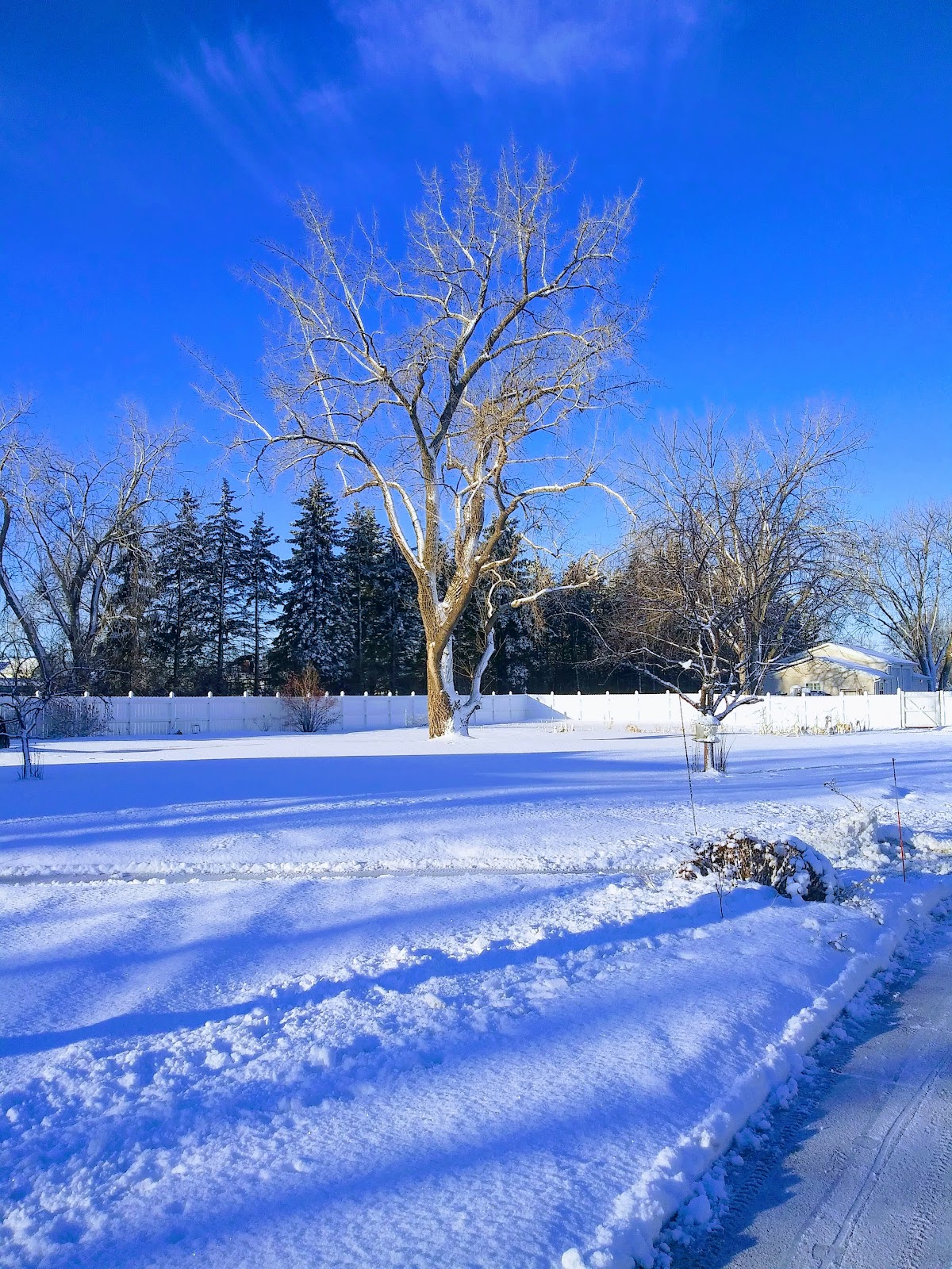 Arbor Park Assisted Living