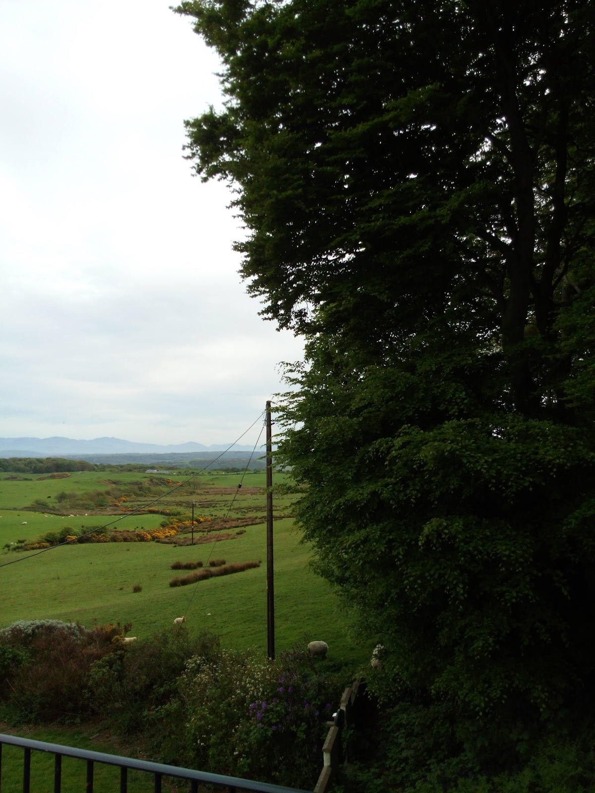 Bryn Y Môr