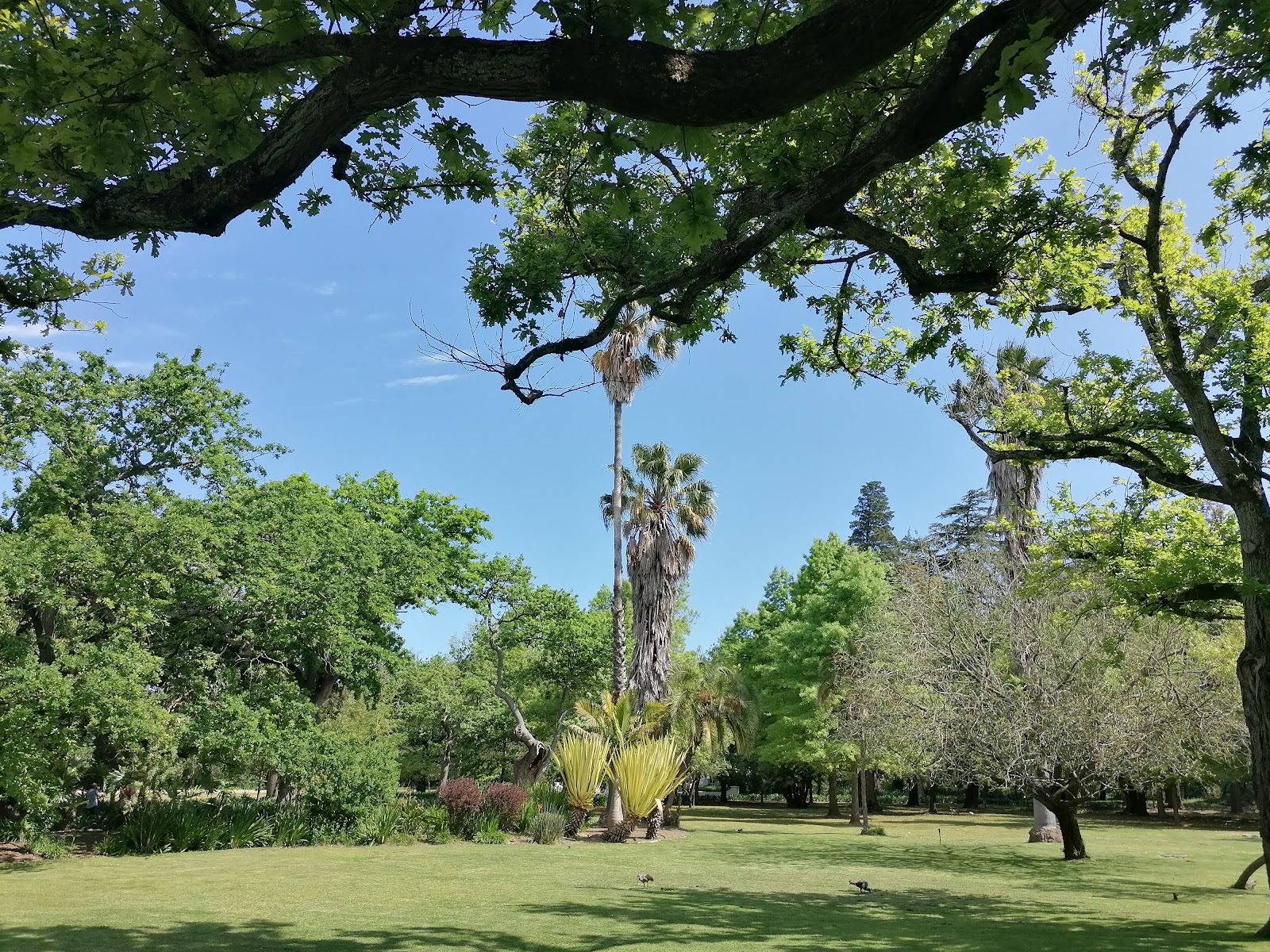 Nooitgedacht Estate