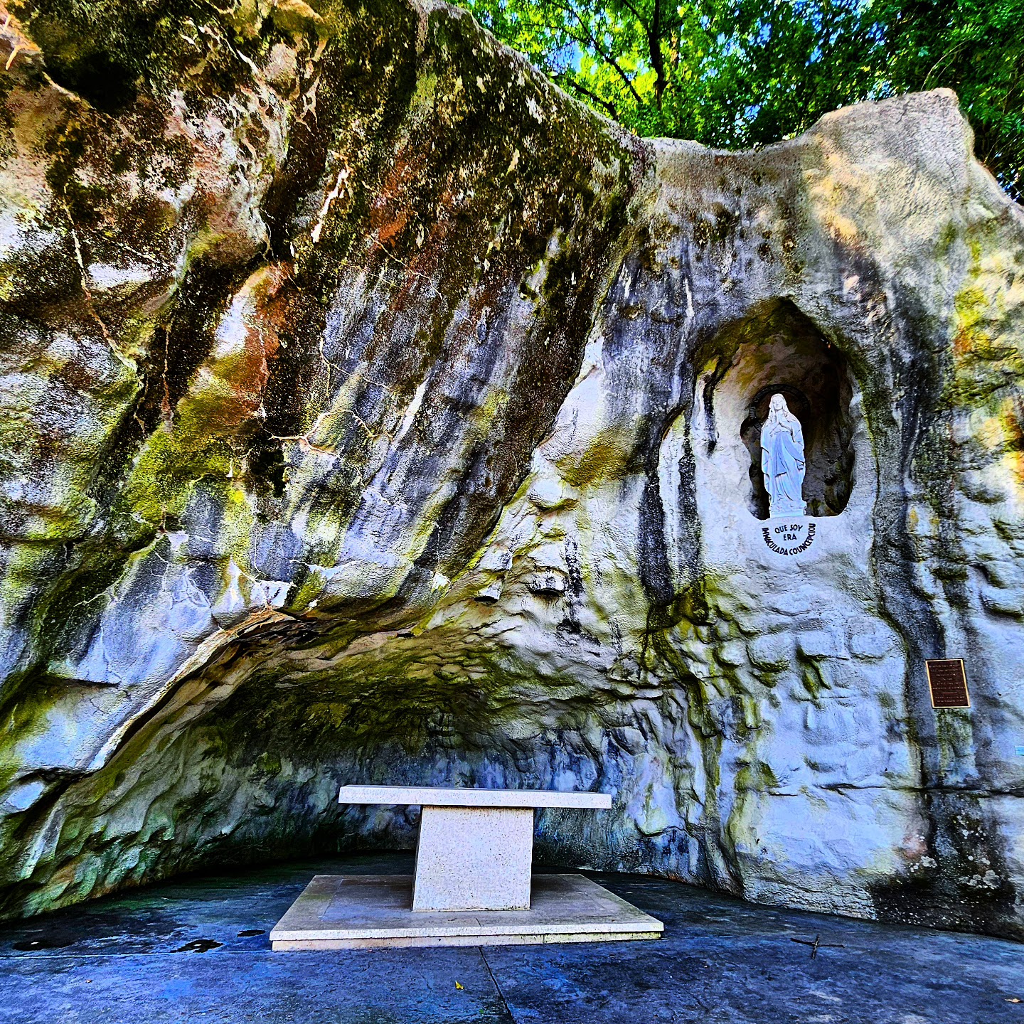 Benedictine Living Community-At The Shrine