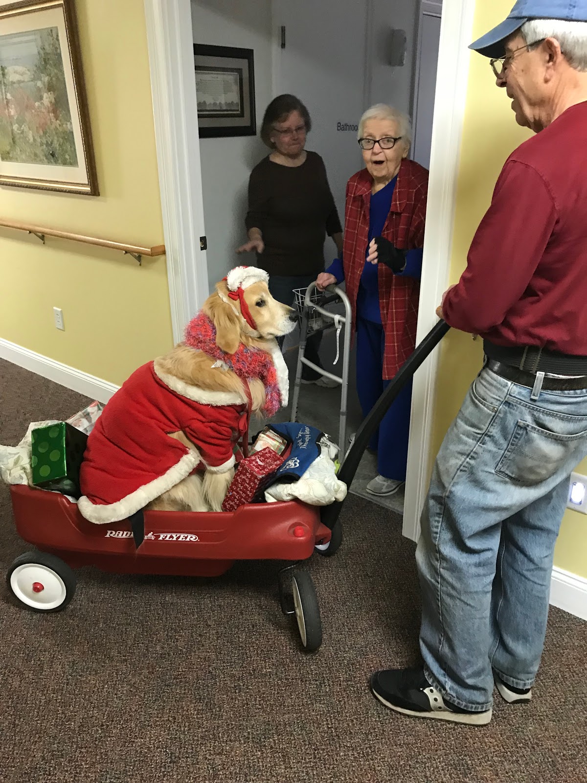 Brookhaven Assisted Care / Brookhaven Rest Home