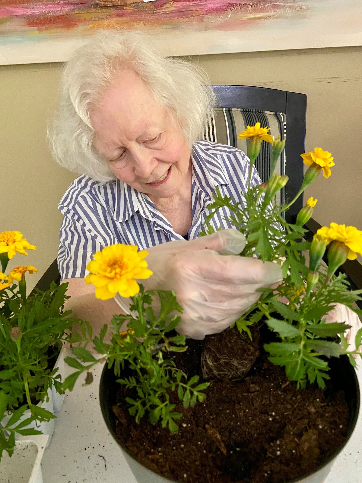 Care Haven Homes