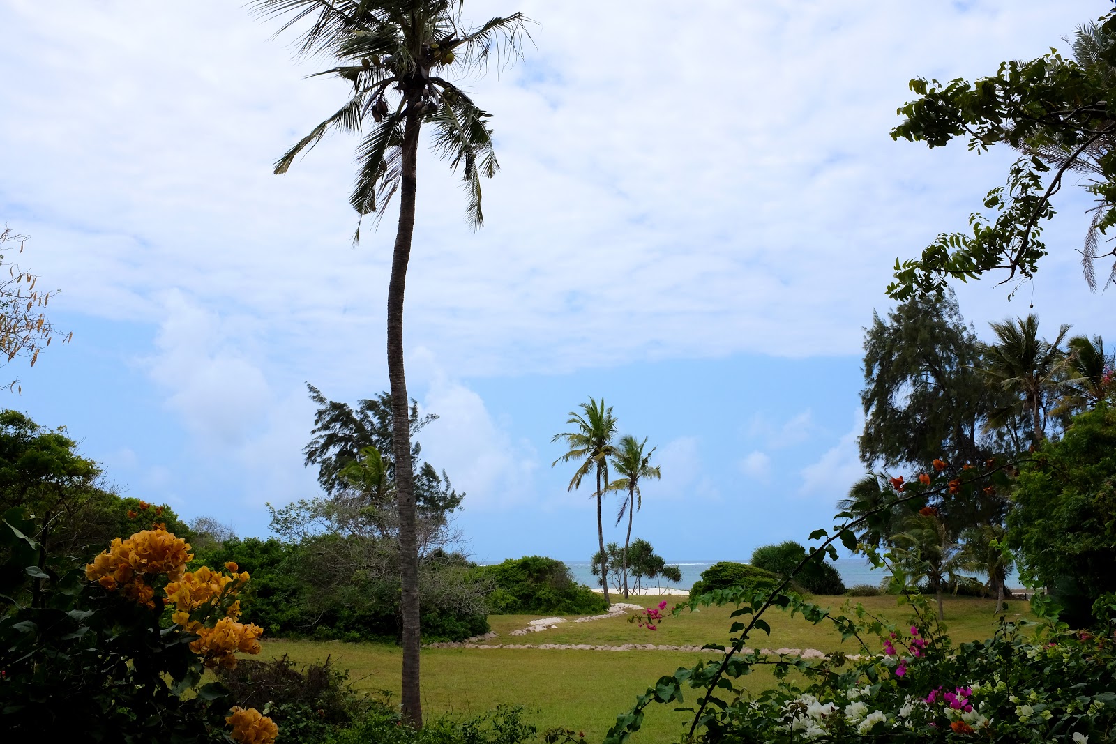 Salty's KiteSurf Village, Beach Bar and Restaurant
