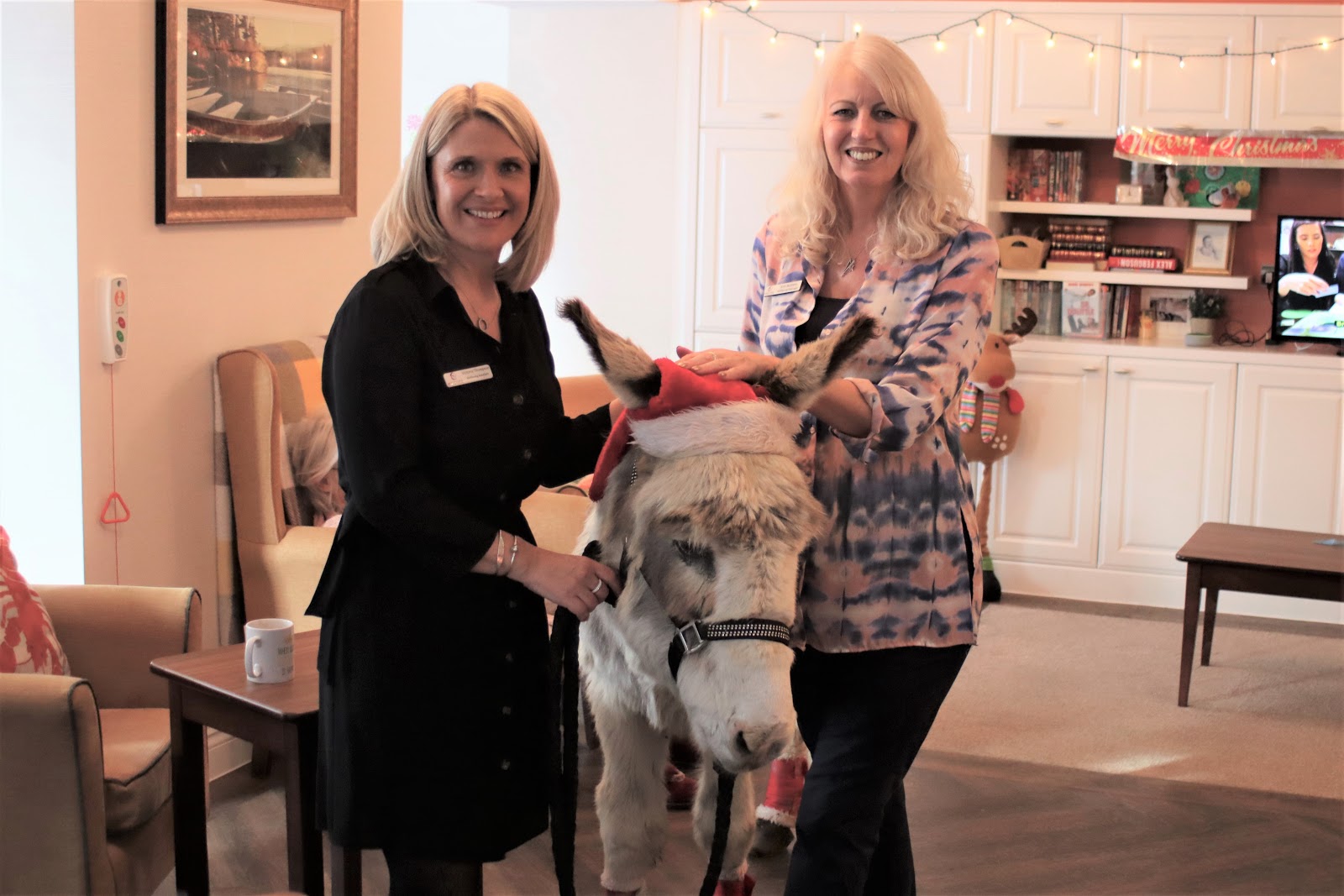 Fairmile Grange Care Home in Christchurch