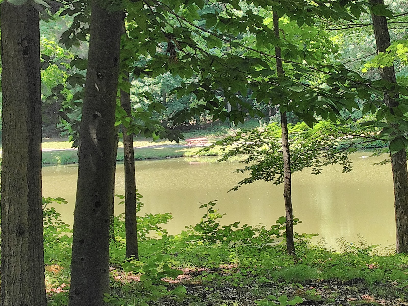 Sage Pond Place