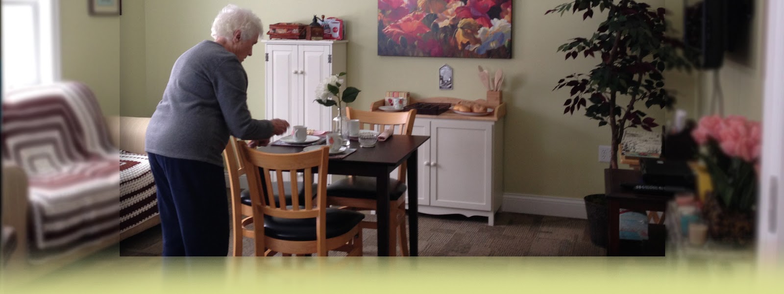 Elder Care Cottages of Wisconsin - Assisted Living