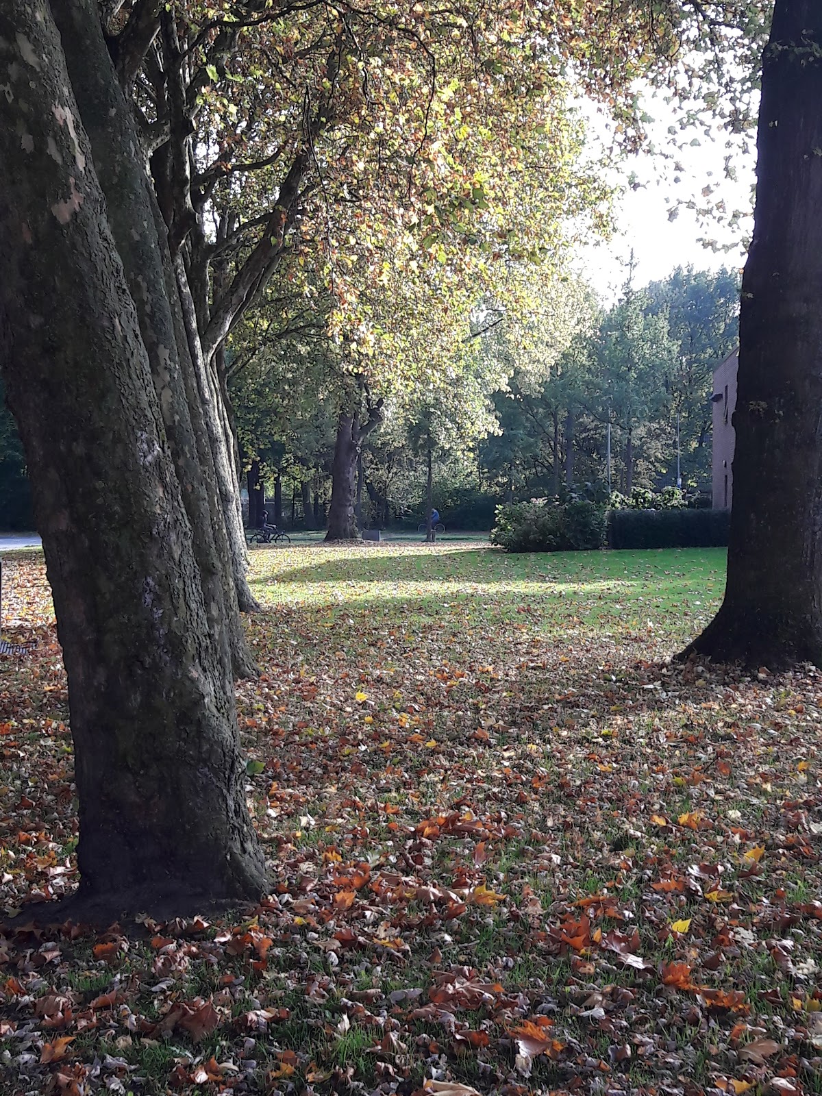 Nursing Home De Bloemendal