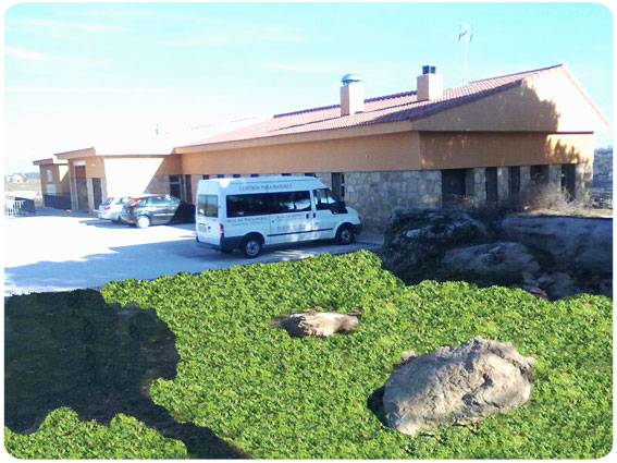 Residencia Real de Rozas