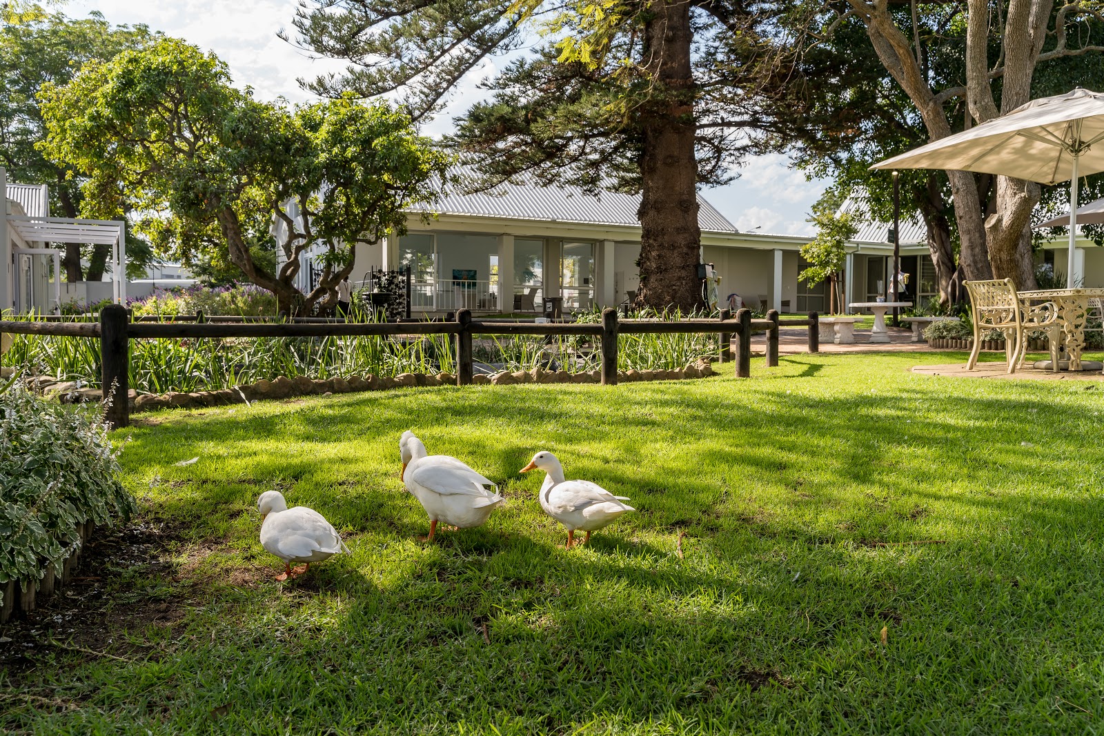 Bridgewater Manor - Faircape Life