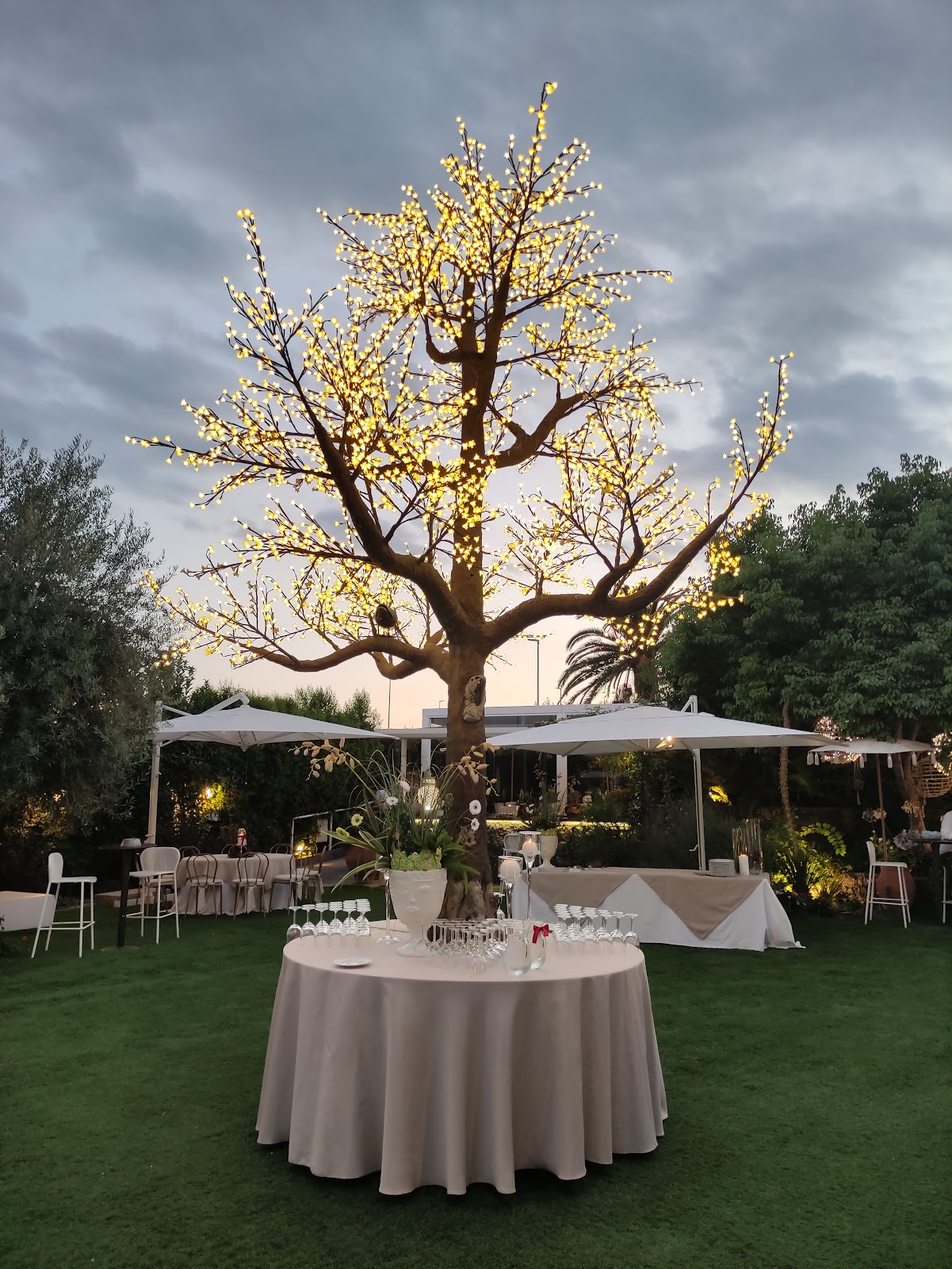 Il giardino di Olèa