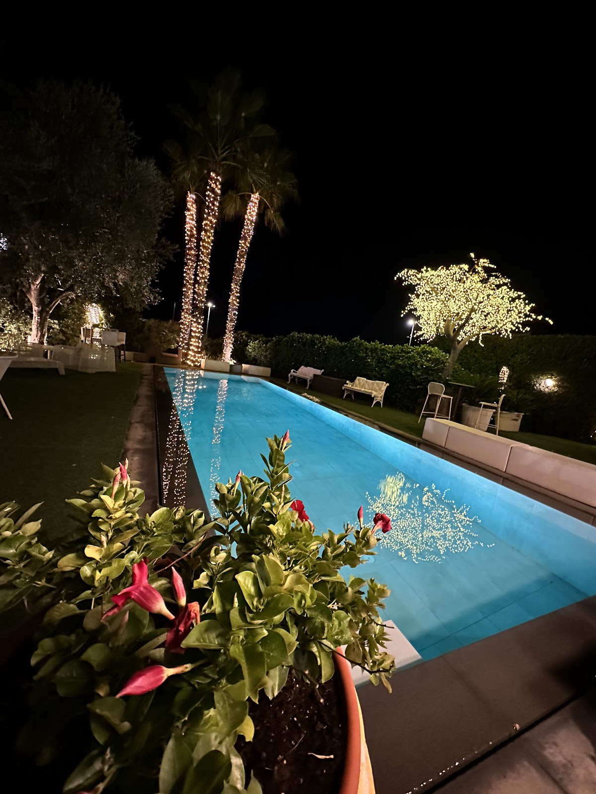 Il giardino di Olèa