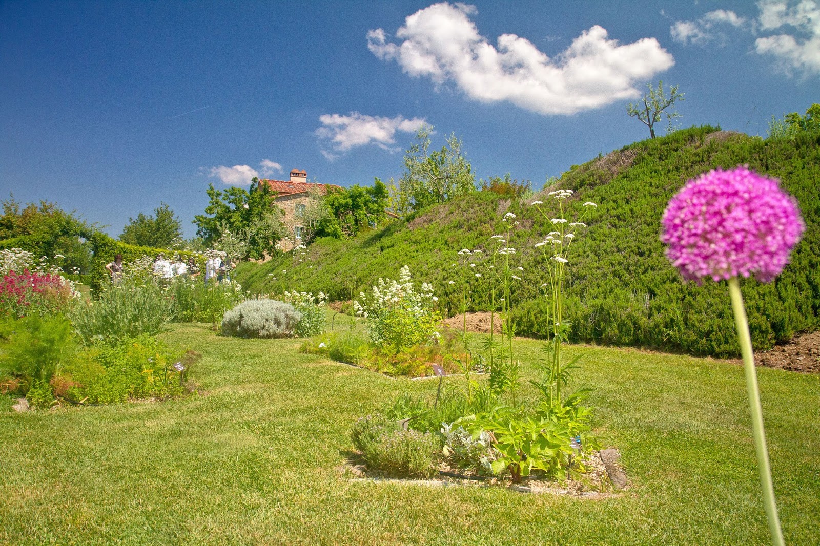 Odina Agriturismo