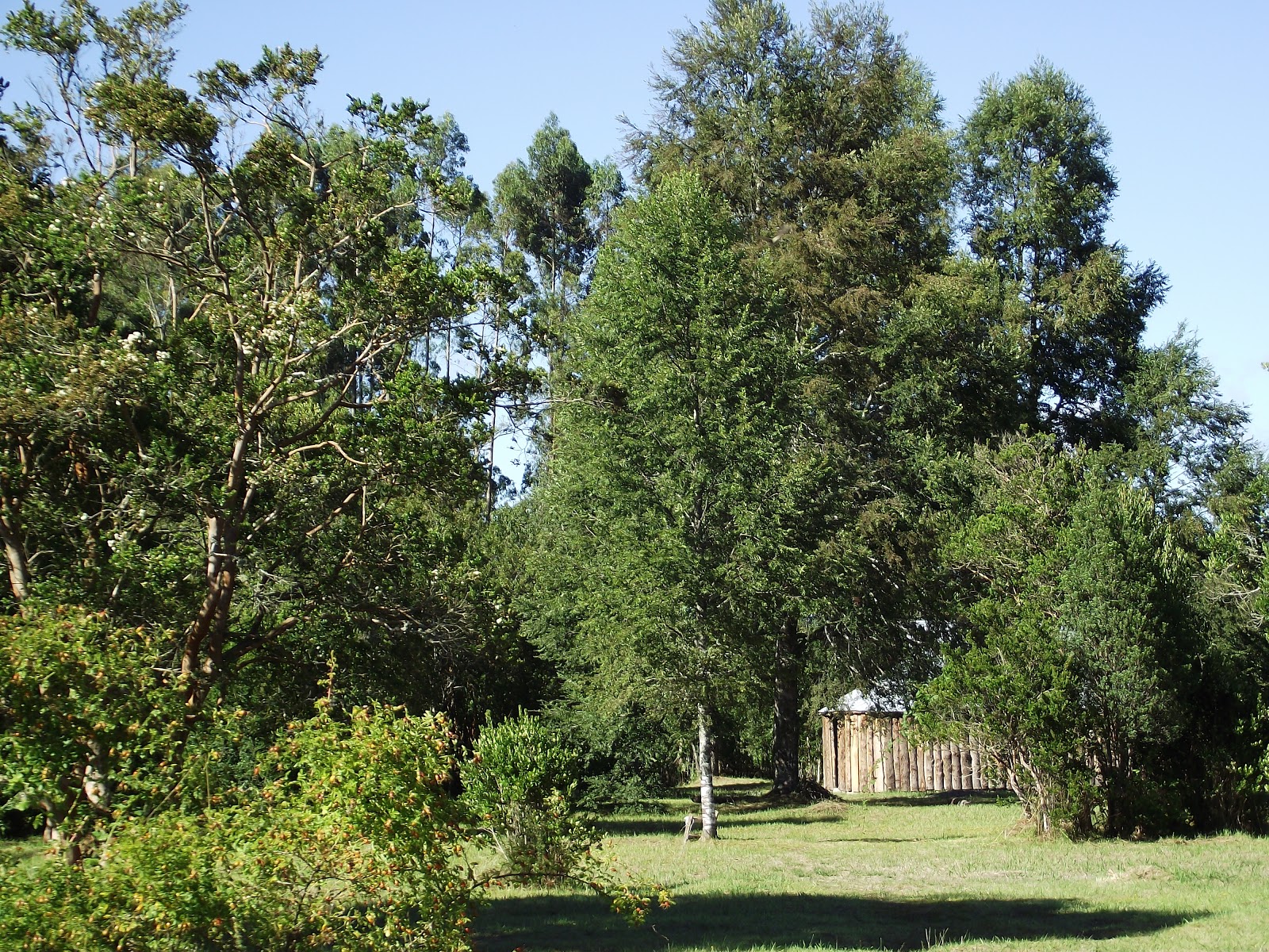 Centro de Retiro y Bienestar Kiñewün Villarrica