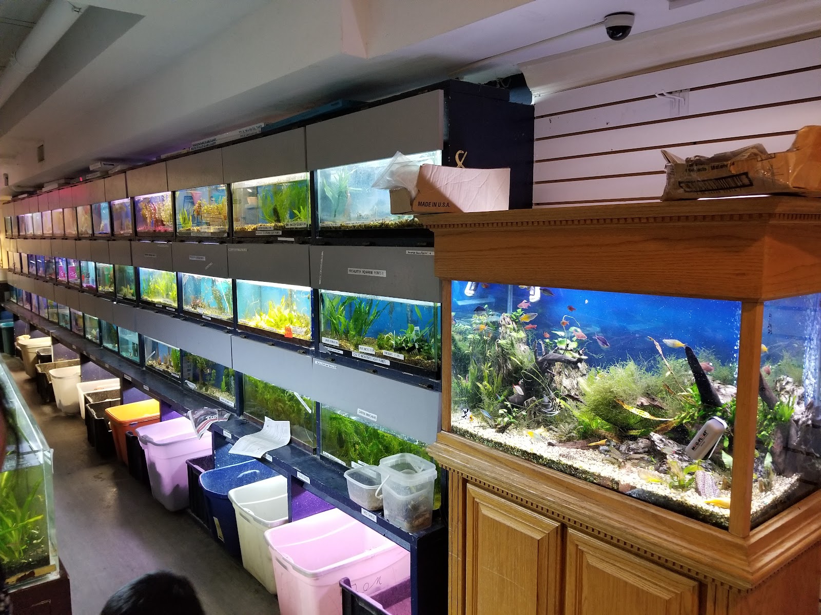 Congressional Aquarium