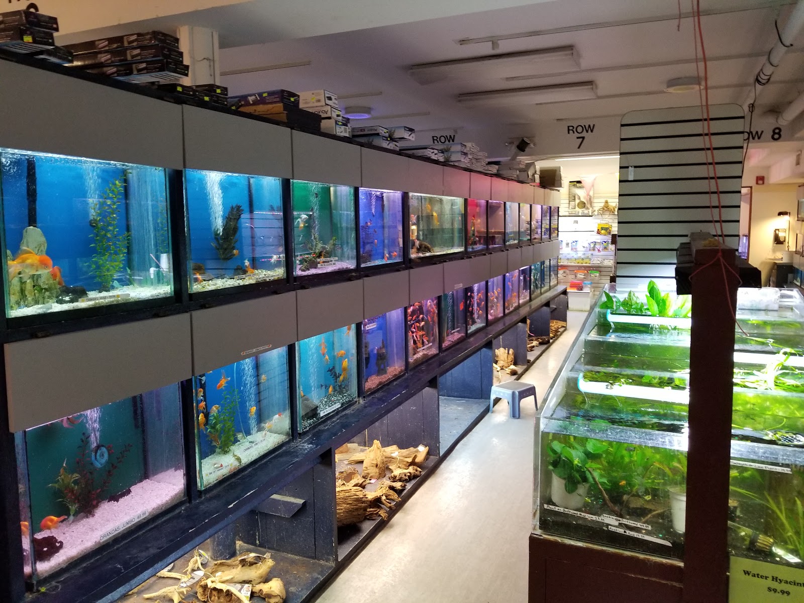 Congressional Aquarium