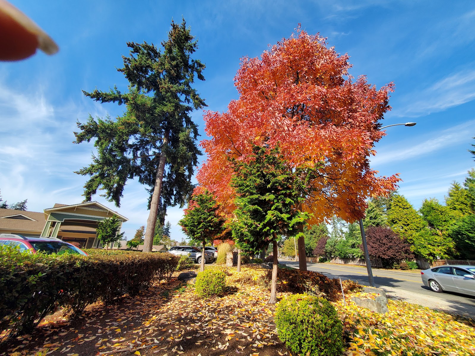 Life Care Center of South Hill