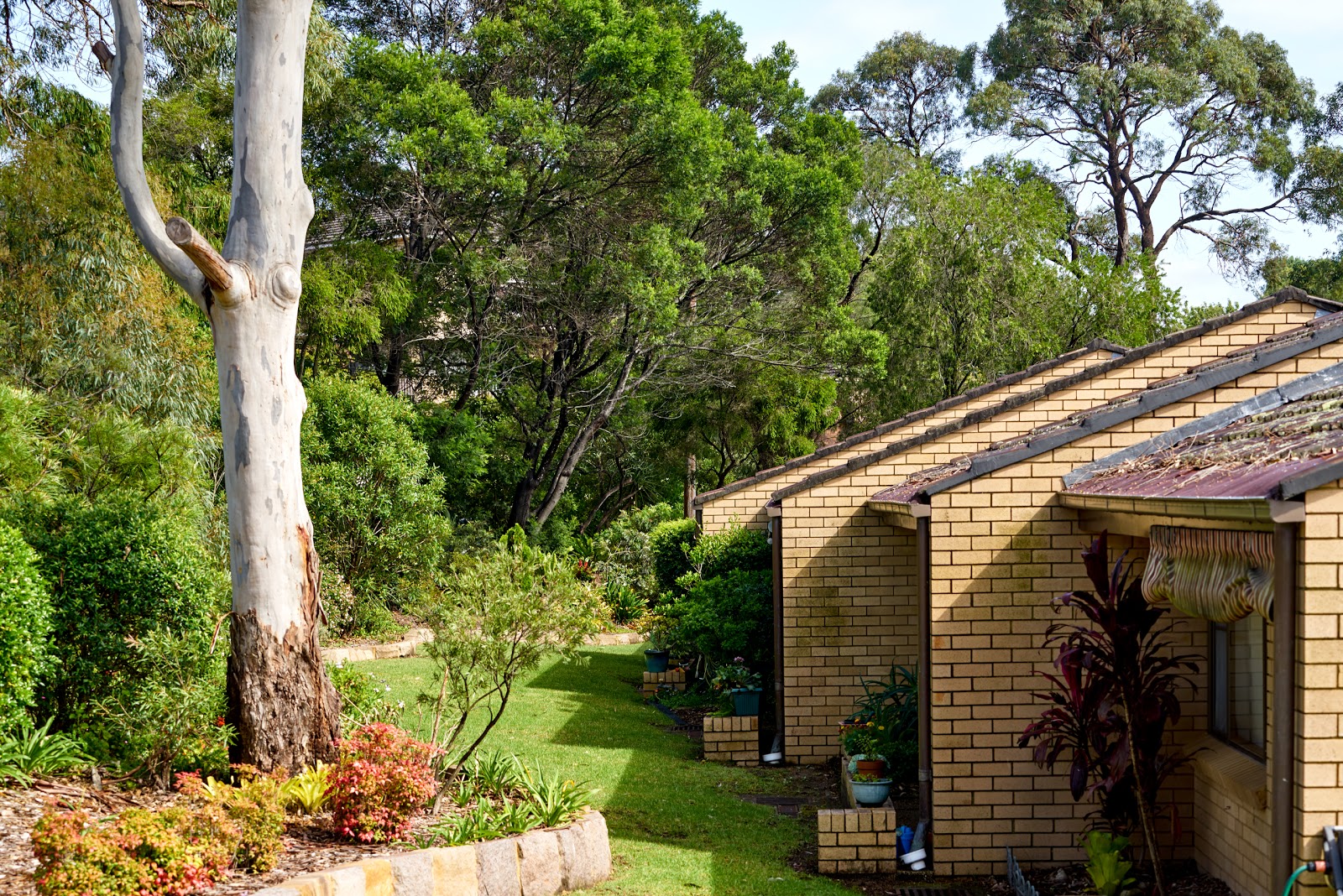 Forestville Retirement Community