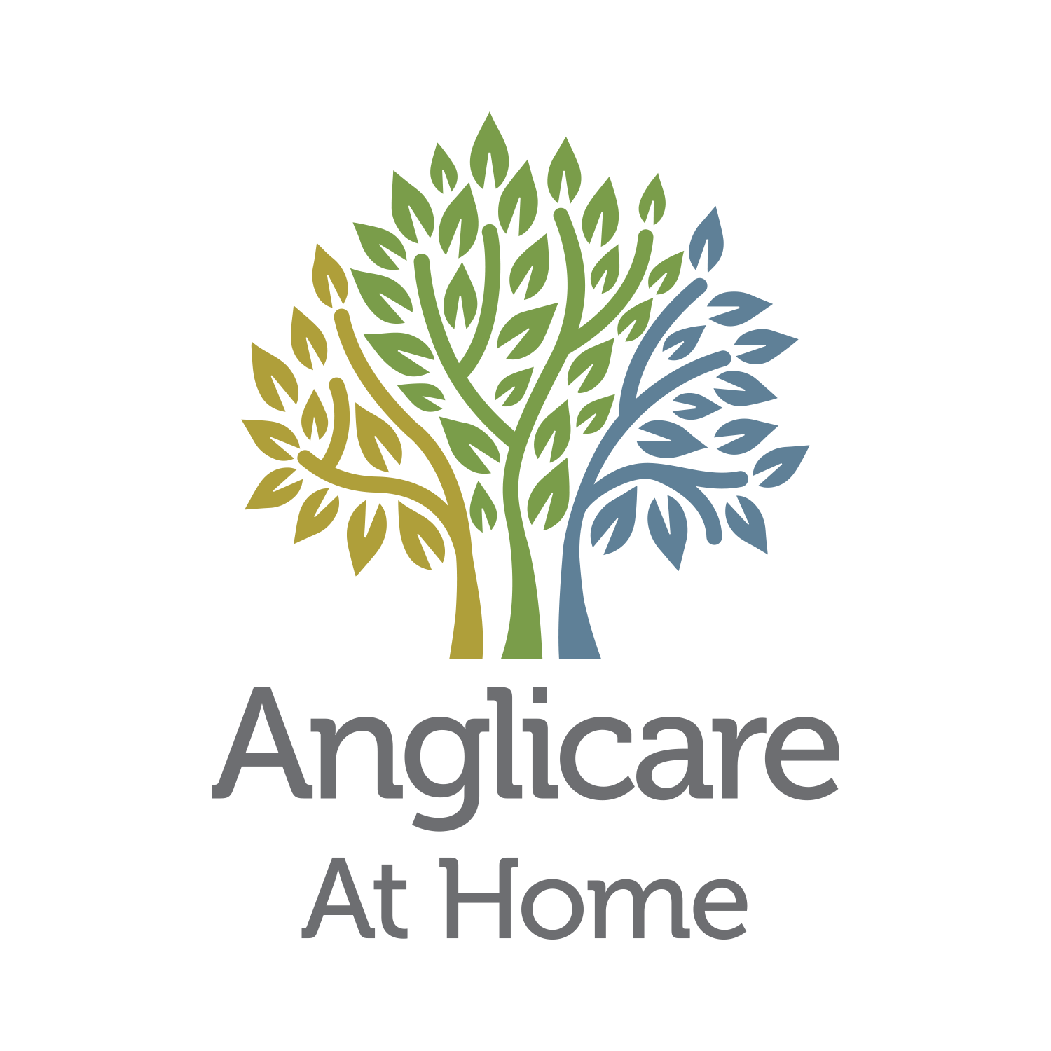Anglicare Social and Wellness Centre Frenchs Forest