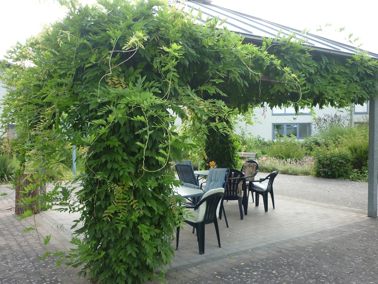 Rohe’sche Altenheim-Stiftung