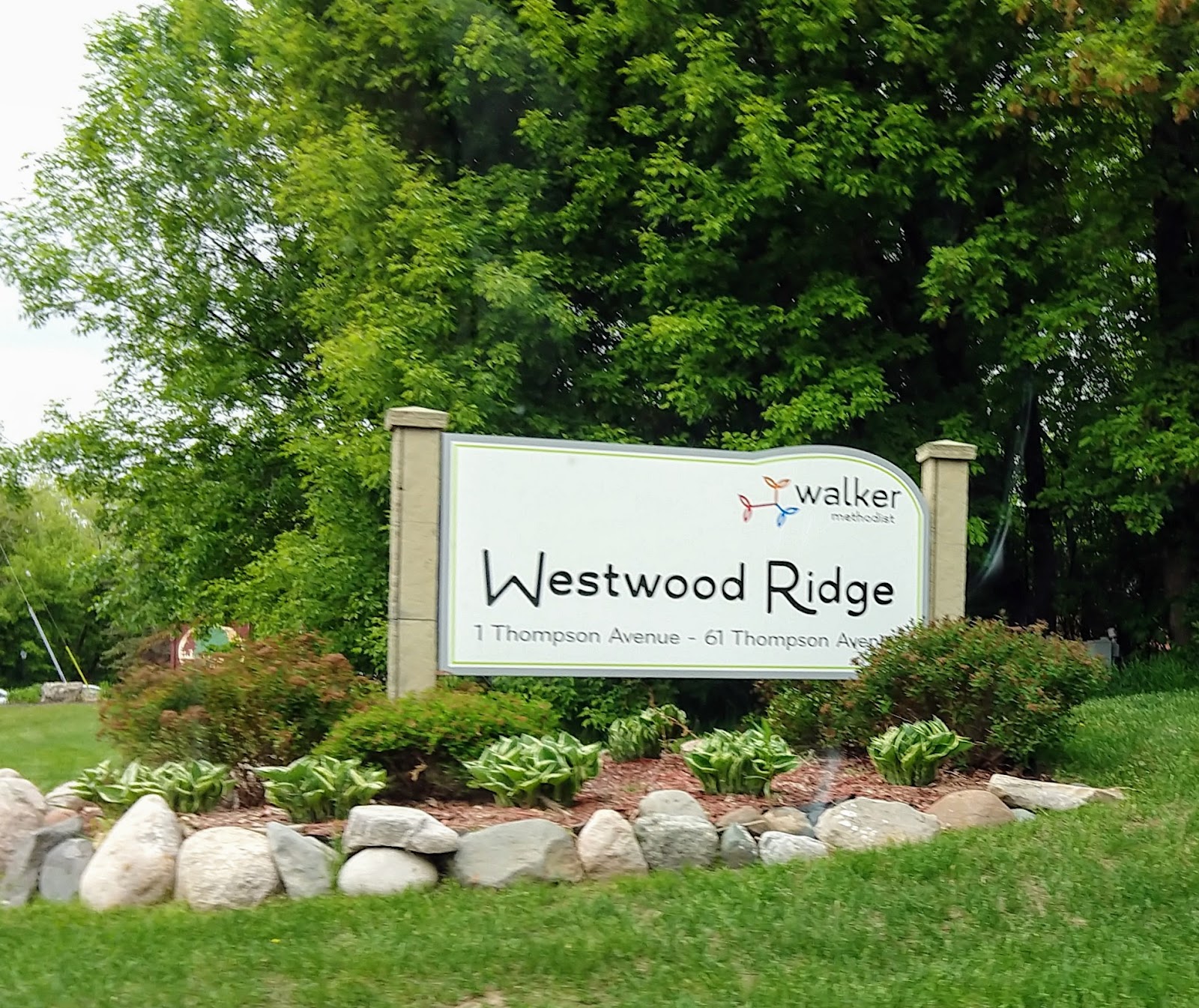 Westwood Ridge 1 by Vivie
