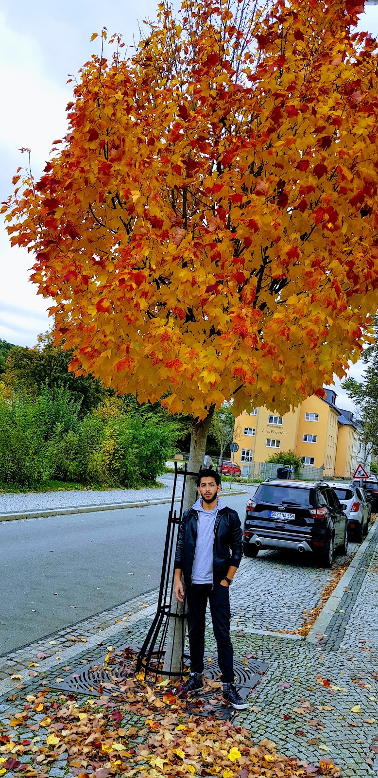 Alloheim Senioren-Residenz "An der Schlossbrücke"