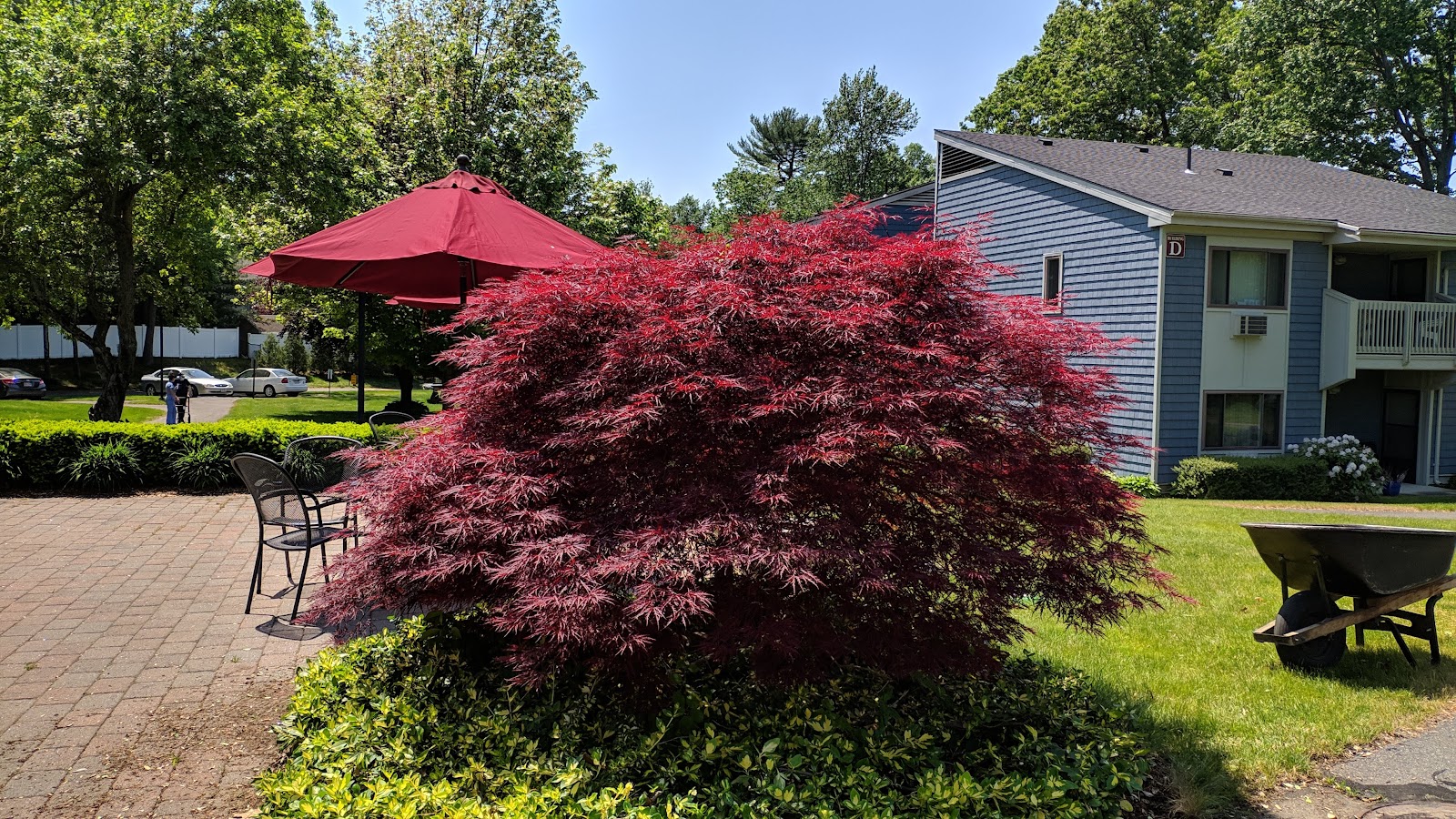 Emerson Manor