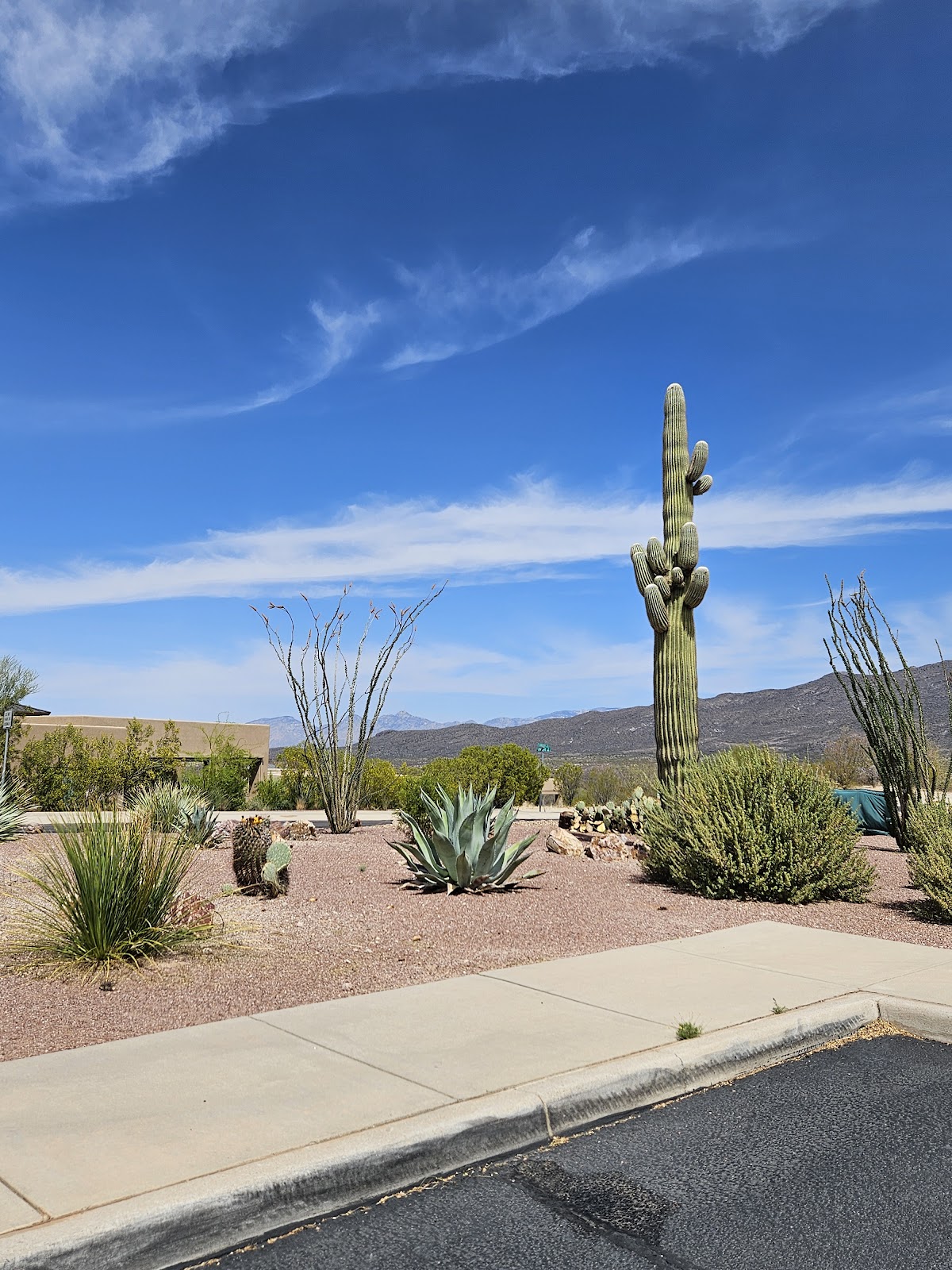 Academy Village