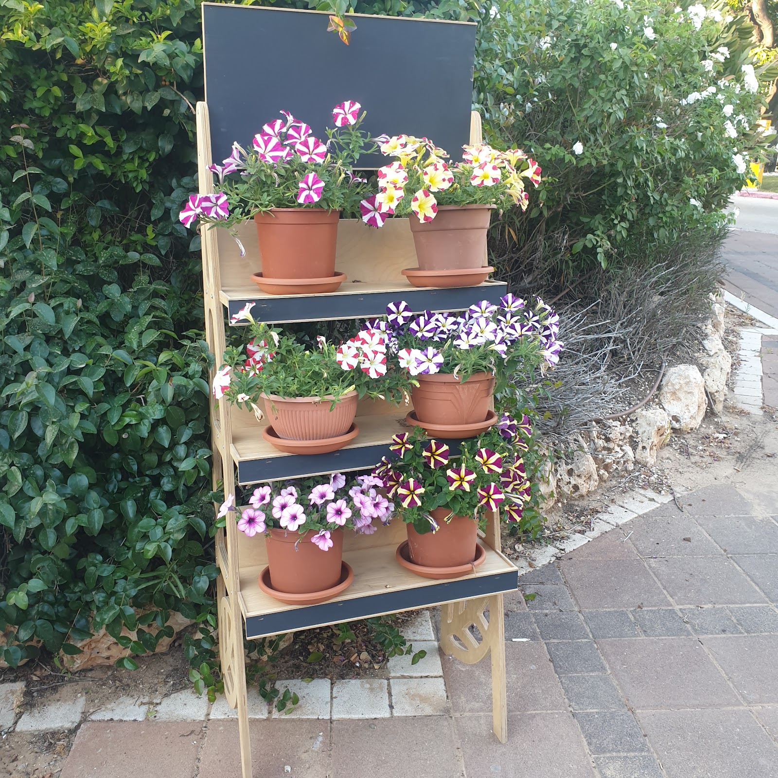 Nursing home Neve Amit