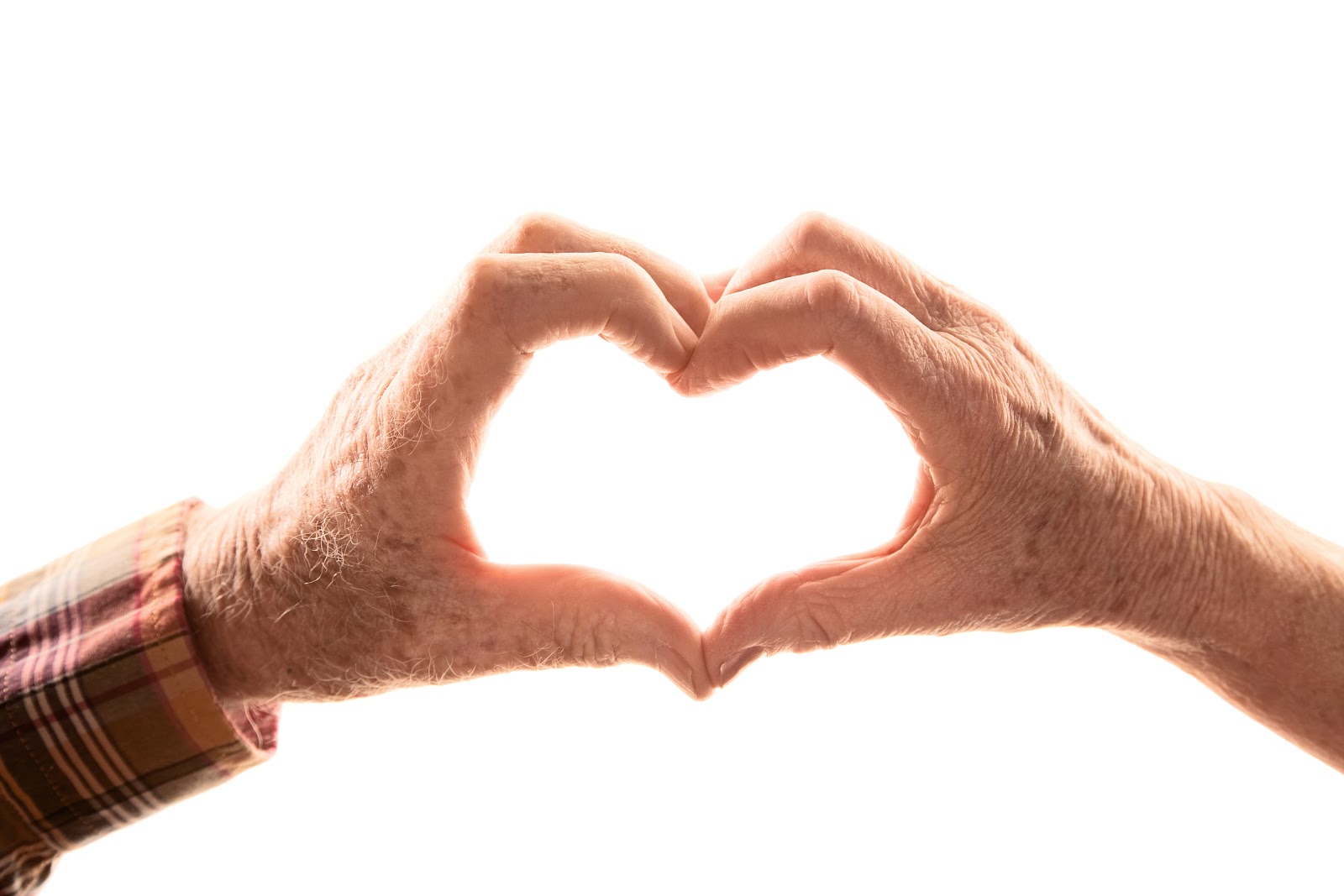 ElderTree Care Management Services