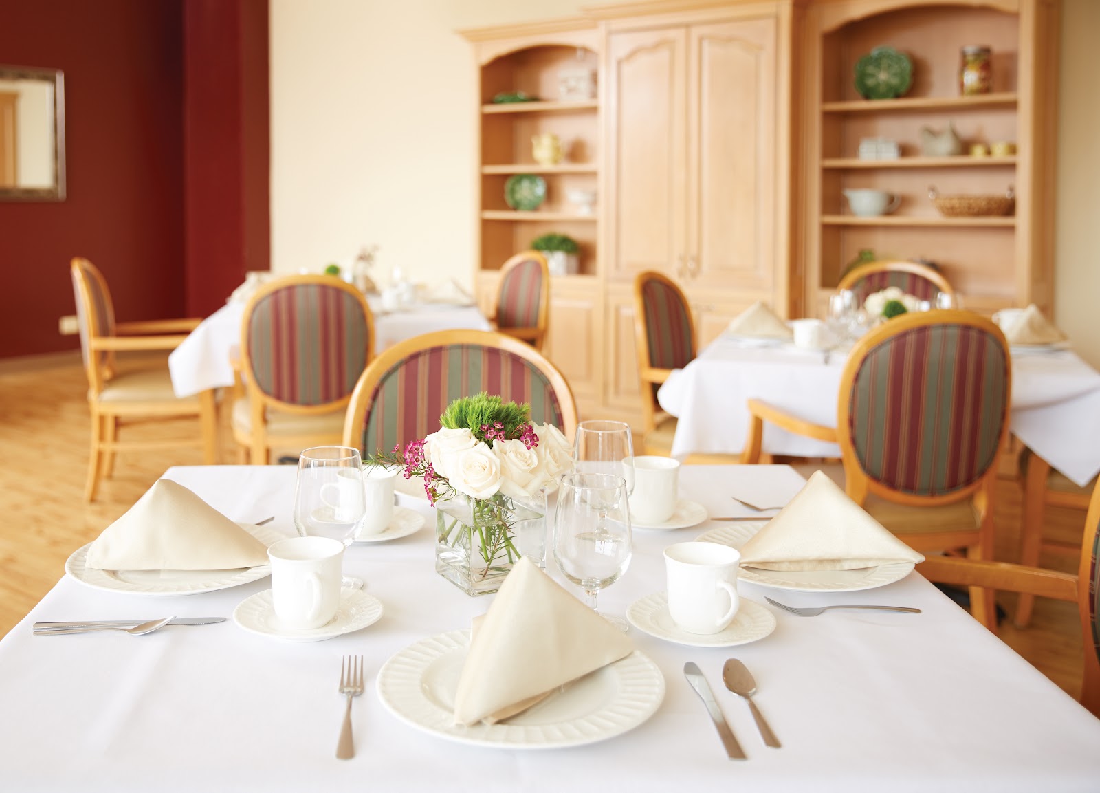 Rivaya Care of Des Plaines