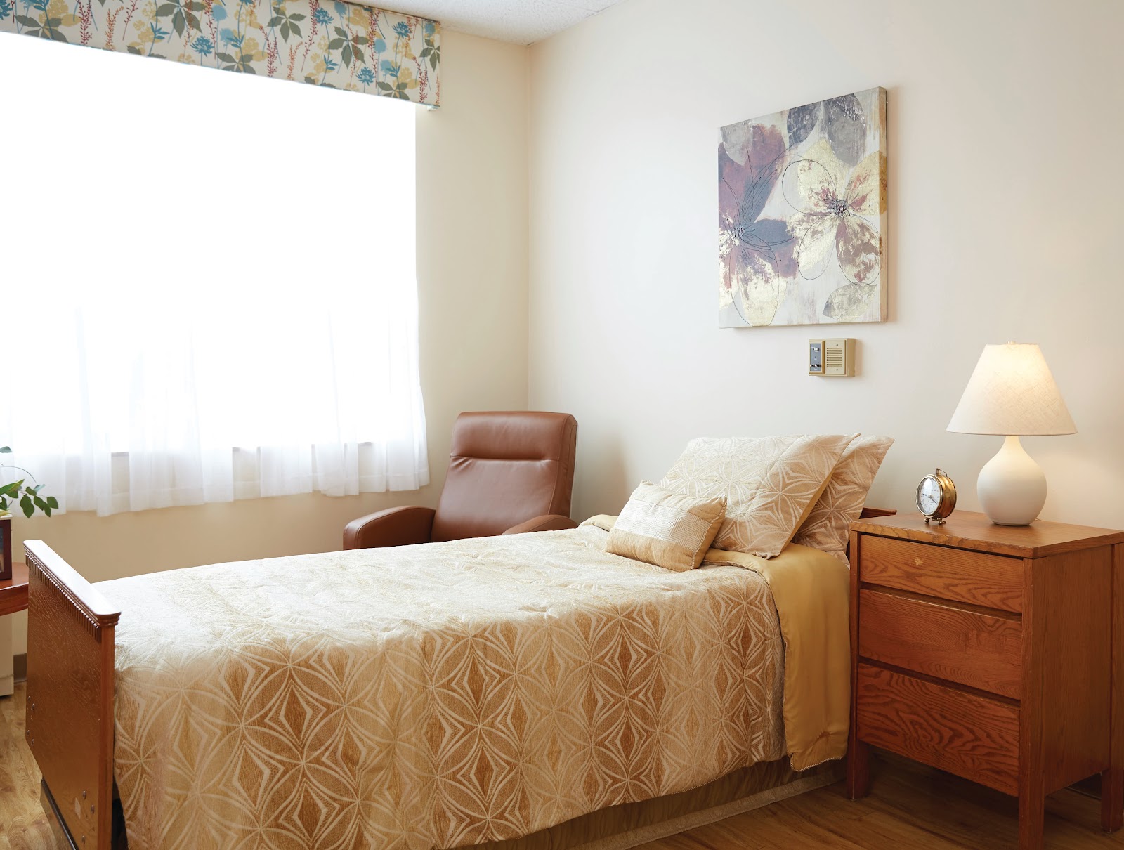 Rivaya Care of Des Plaines