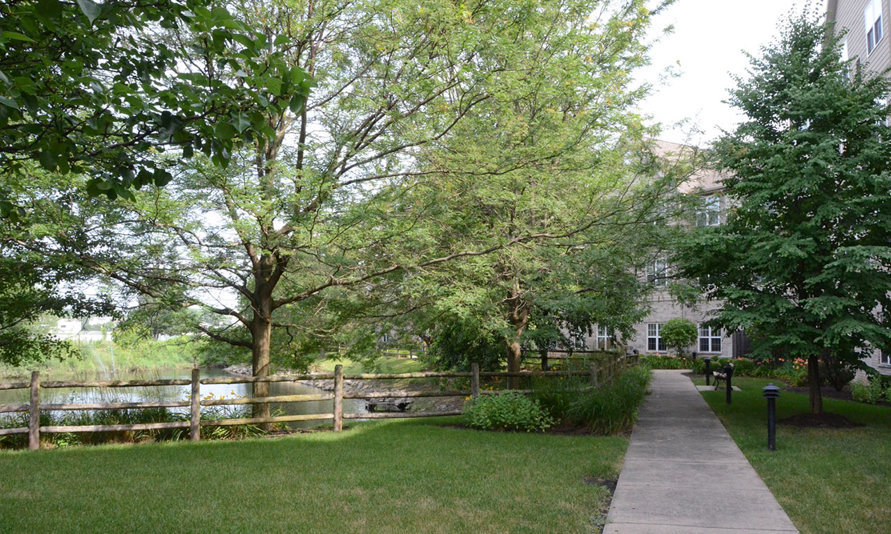 Willow Falls Senior Living