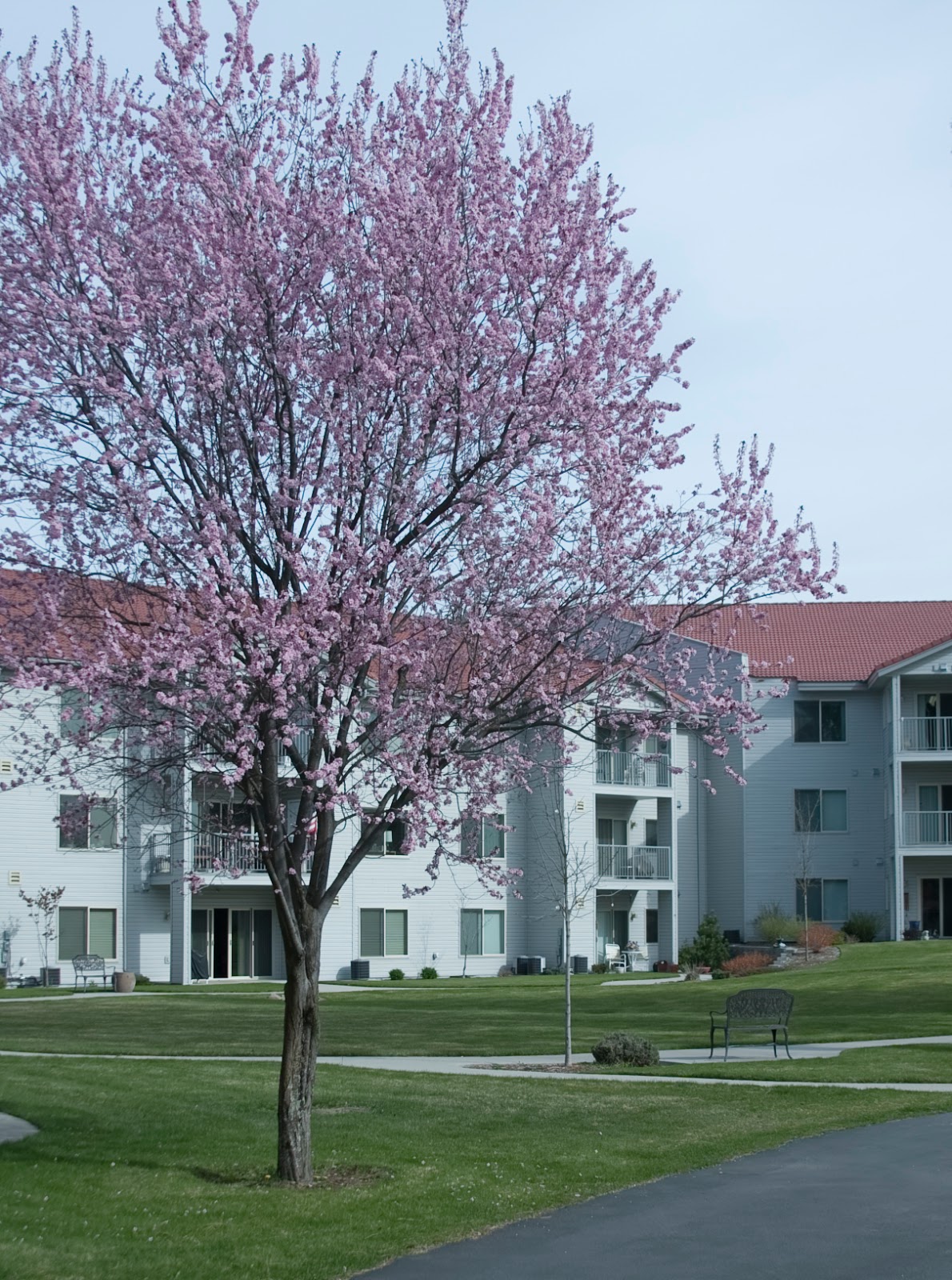 Fairwood Retirement Village & Assisted Living