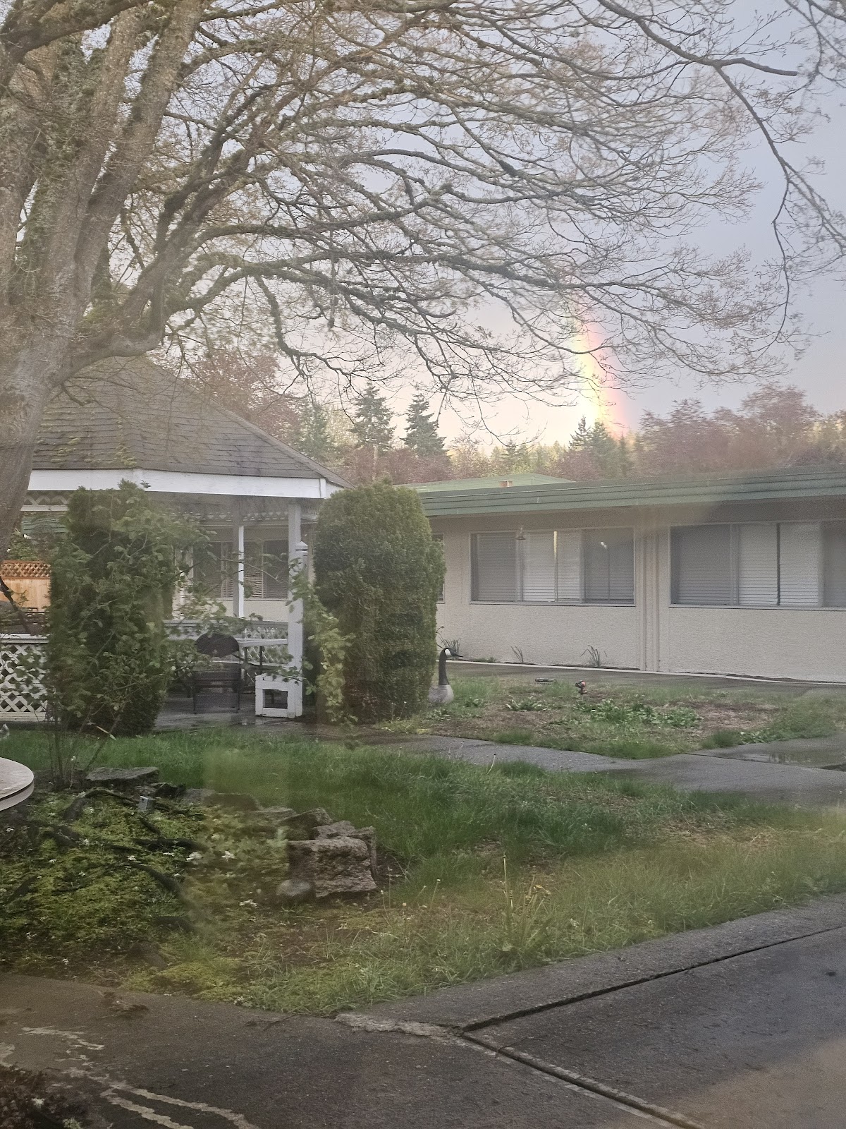 Life Care Center of Puyallup